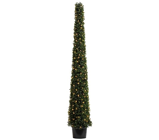 Vickerman 6' Potted Artificial Boxwood Cone with Warm White Lt