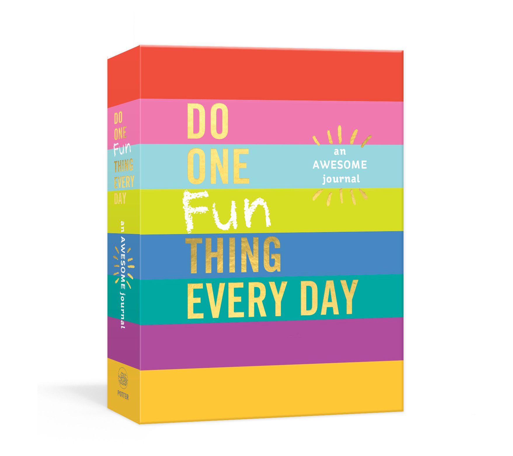 Do One Fun Thing Every Day by Robie Rogge