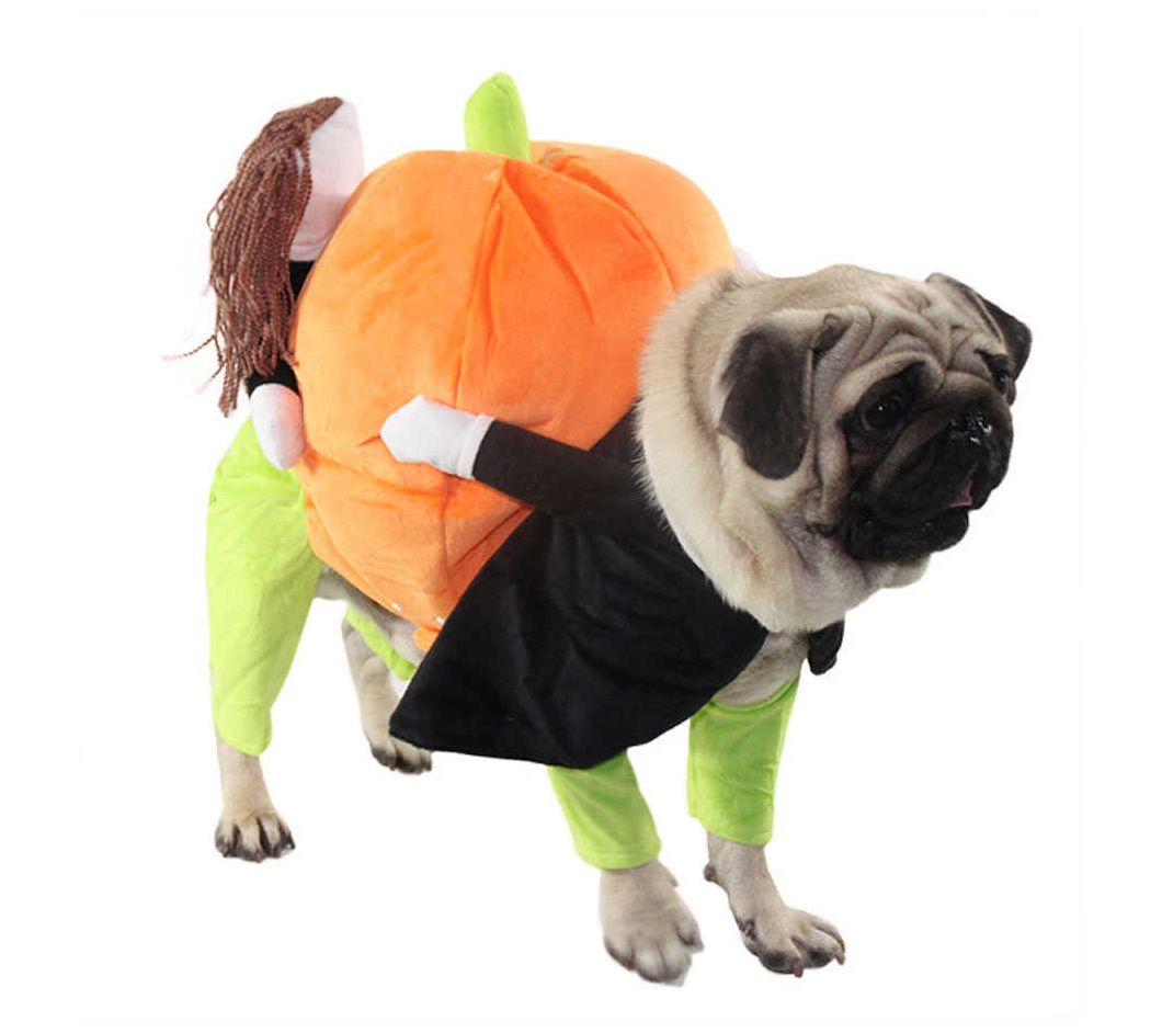 Pet Life 'Pumpkin Mon' Halloween Pet Dog Costume