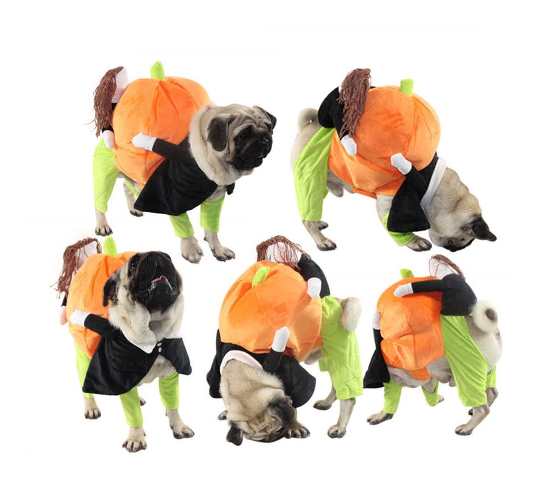 Pet Life 'Pumpkin Mon' Halloween Pet Dog Costume