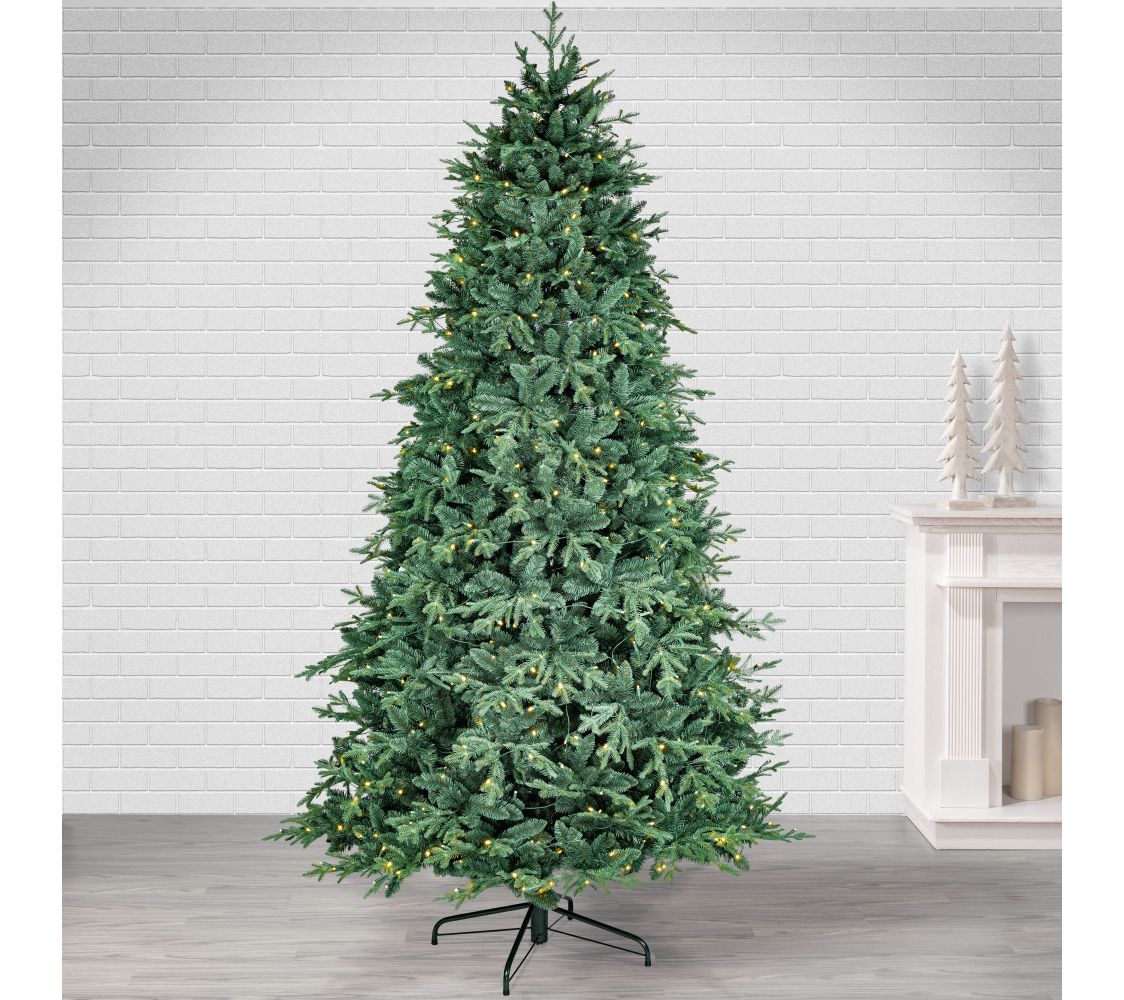 9 ft Natural Cut Blue Spruce Christmas Tree by terling