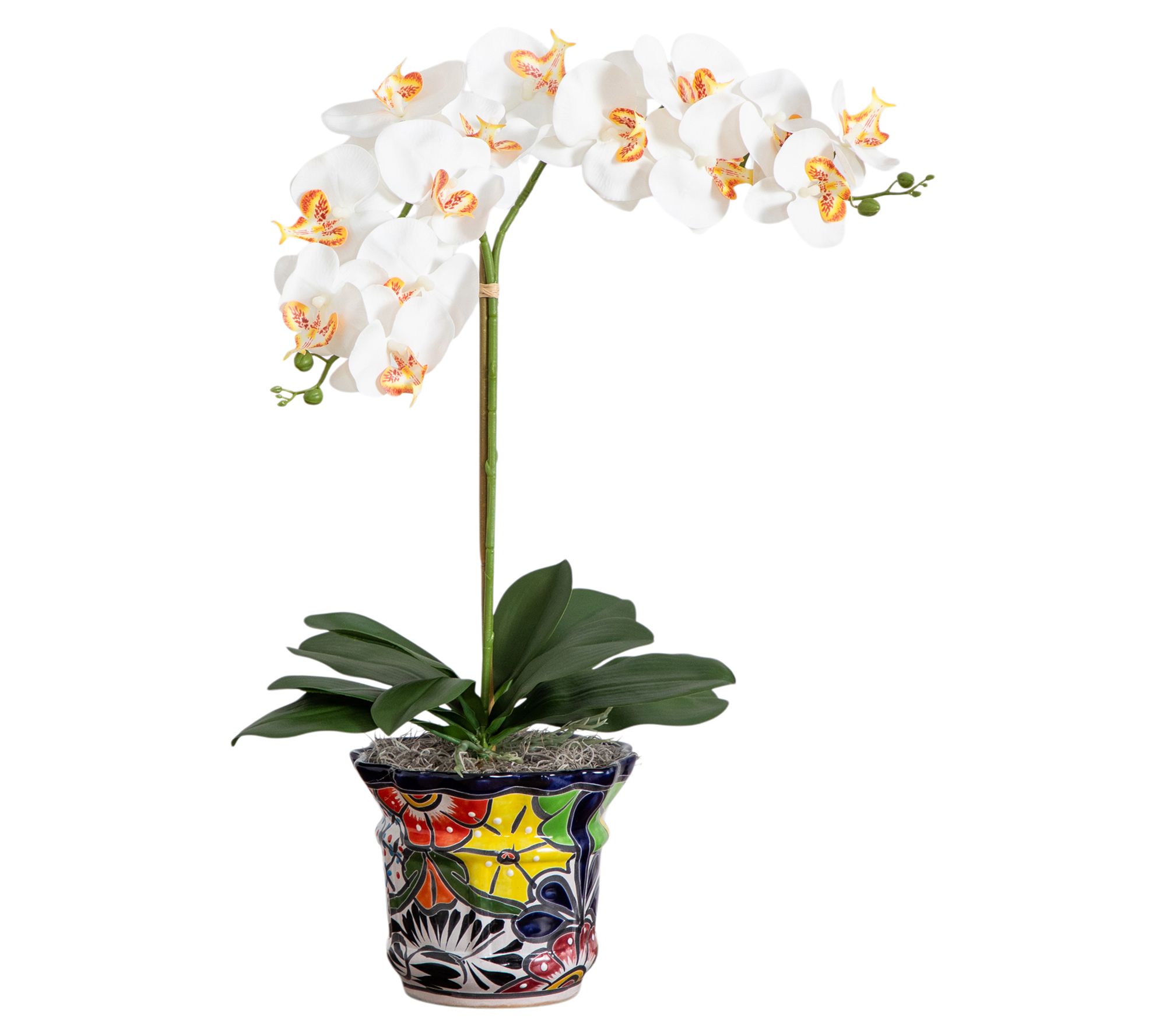 Nearly Natural 26" Double Orchid in Handmade Planter