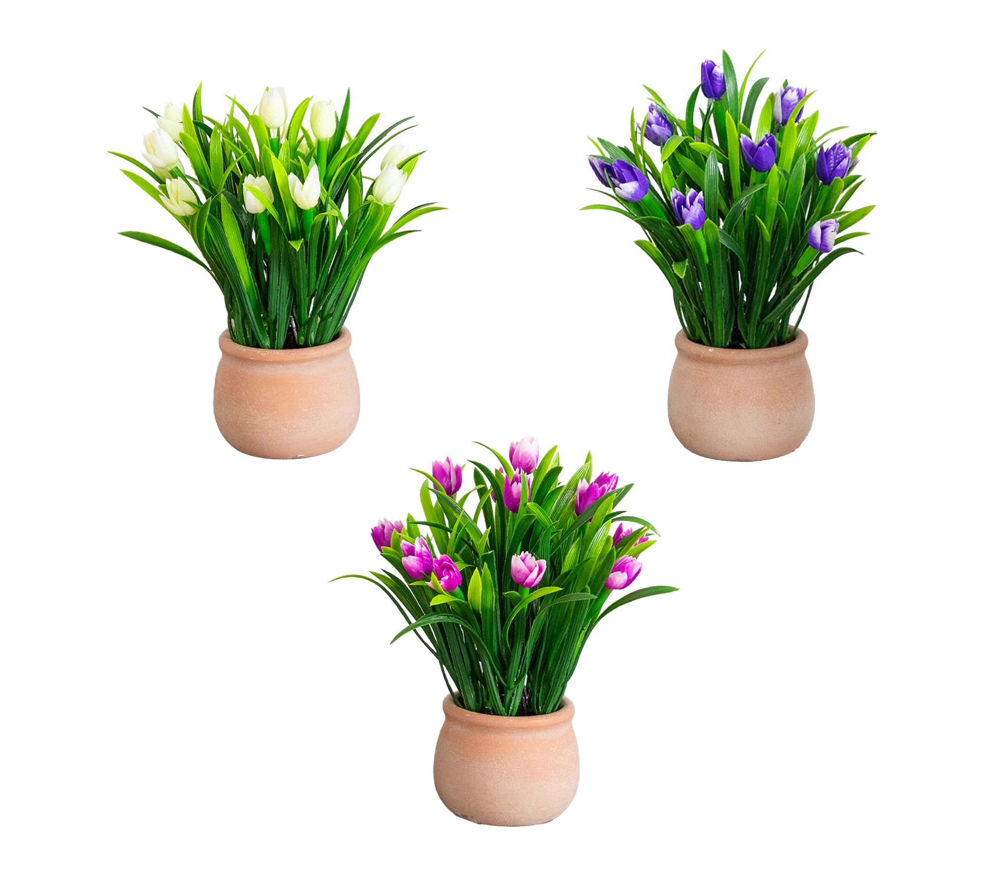 10-in Flowering Tulips in  Planter - Set of 3 b y Nearly Natura