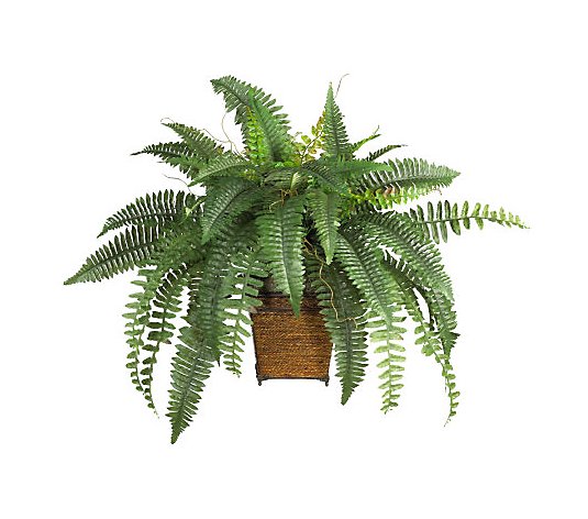 Boston Fern Plant with Wicker Basket by NearlyNatural