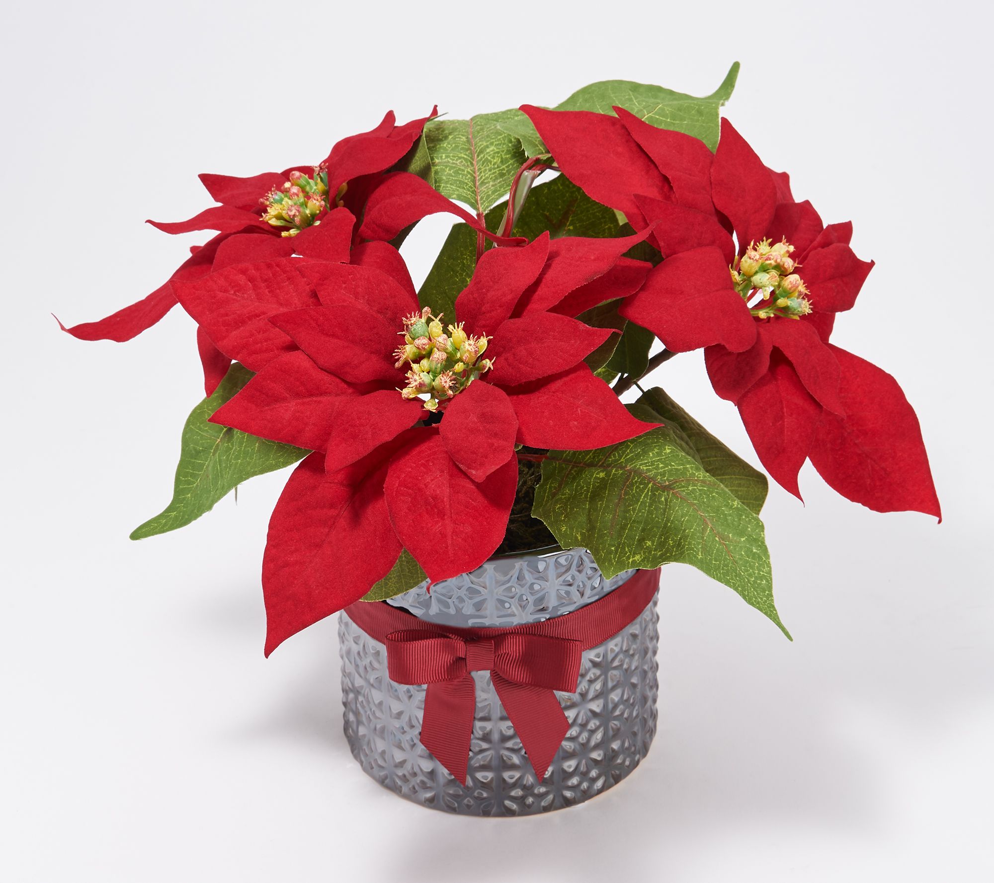 Faux Poinsettia Plant in Textured Pot w/ Holiday Bow by Peony - QVC.com