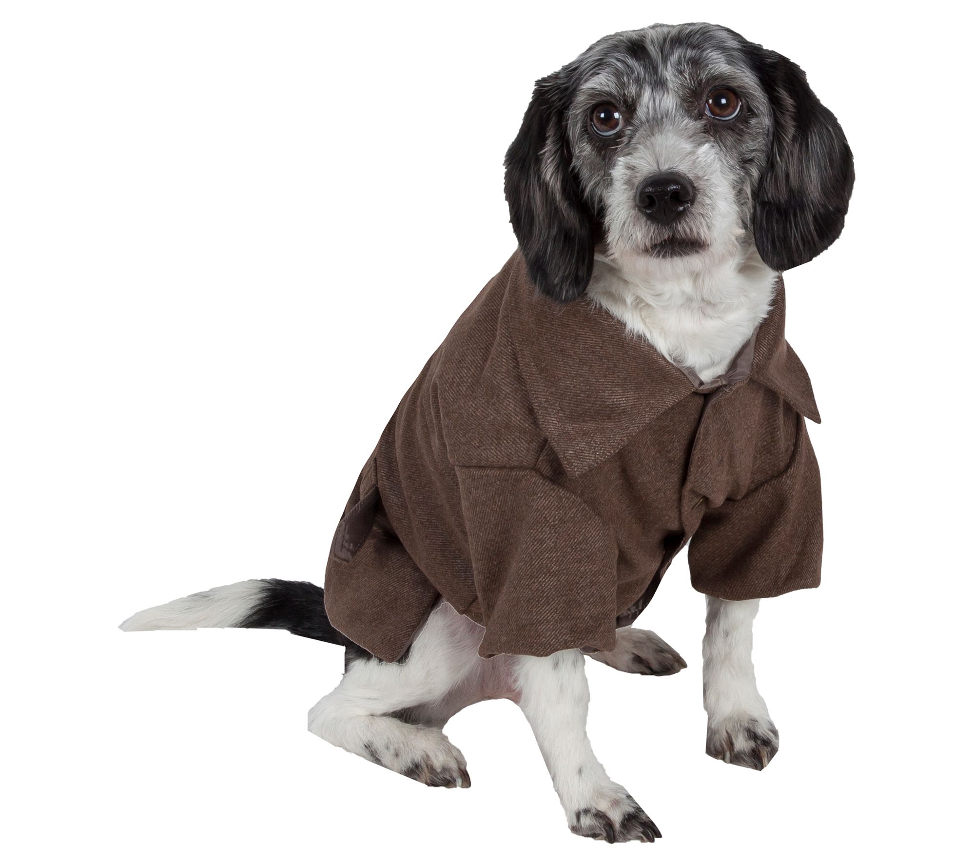 Pet Life Galore Back-Buckled Fashion Cotton Pet Coat