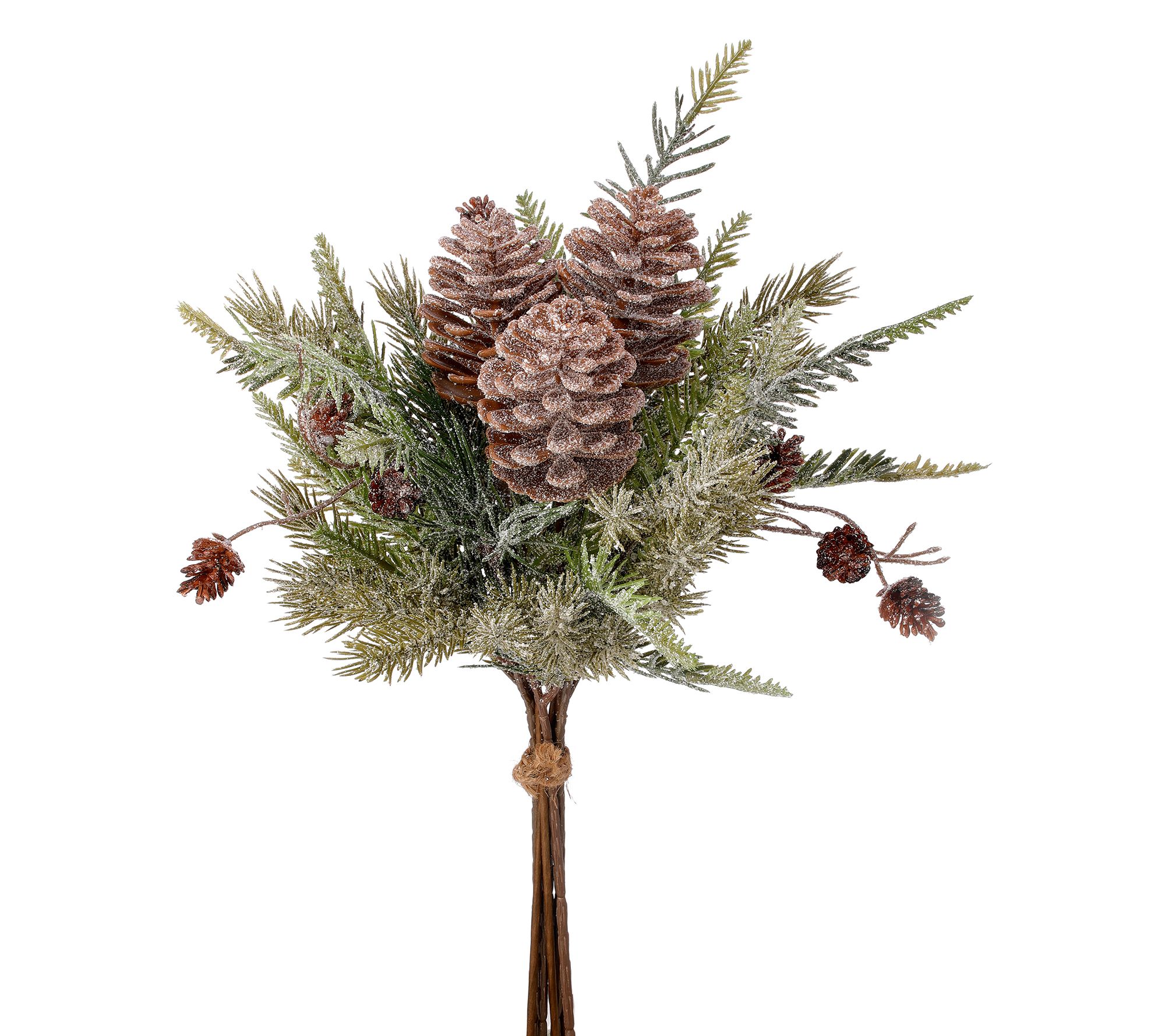 17" Snowy Pine With Cone Bundle by Valerie