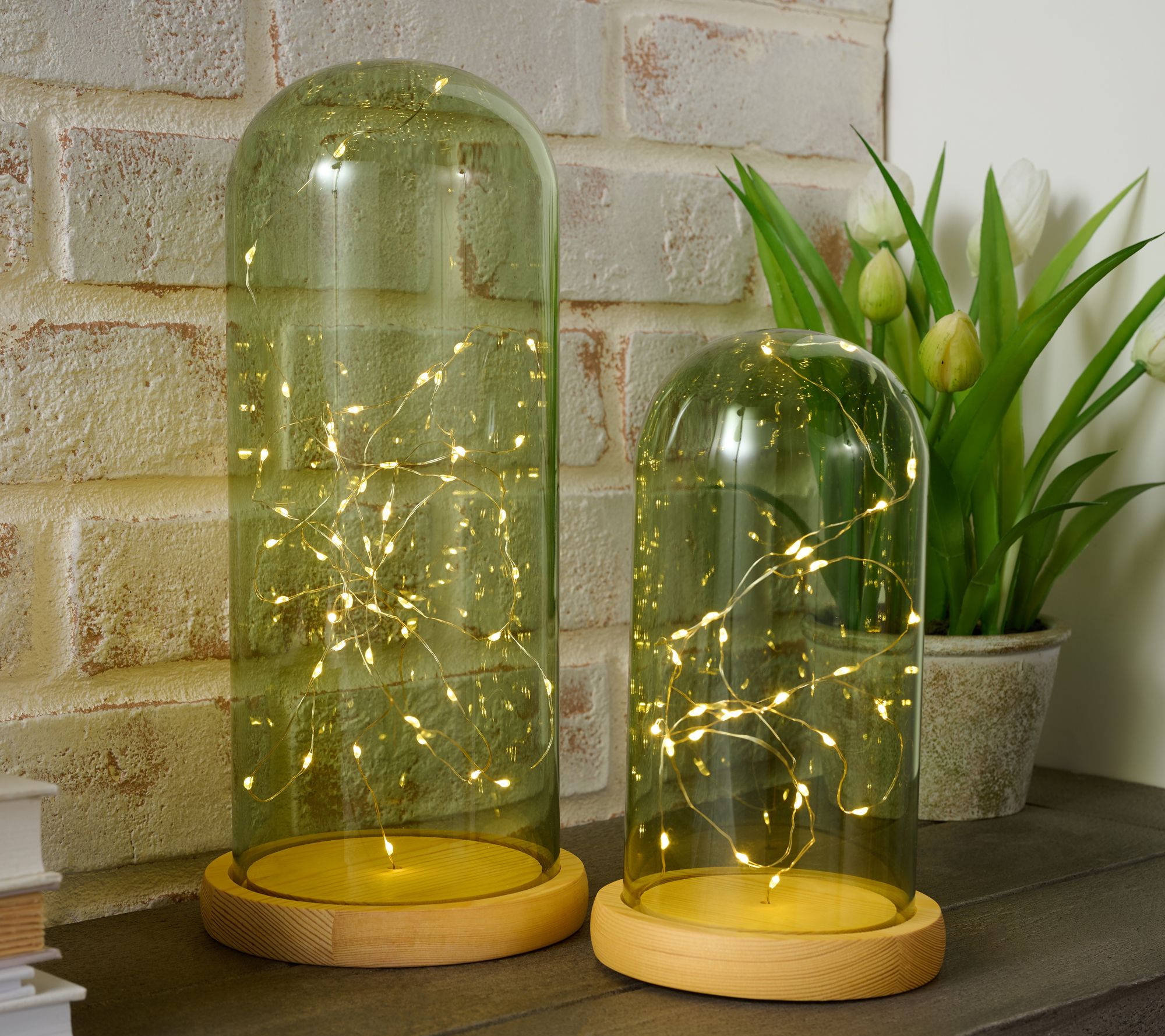Home Reflections S/2 Colored Glass Cloches w/ Fairy Lights