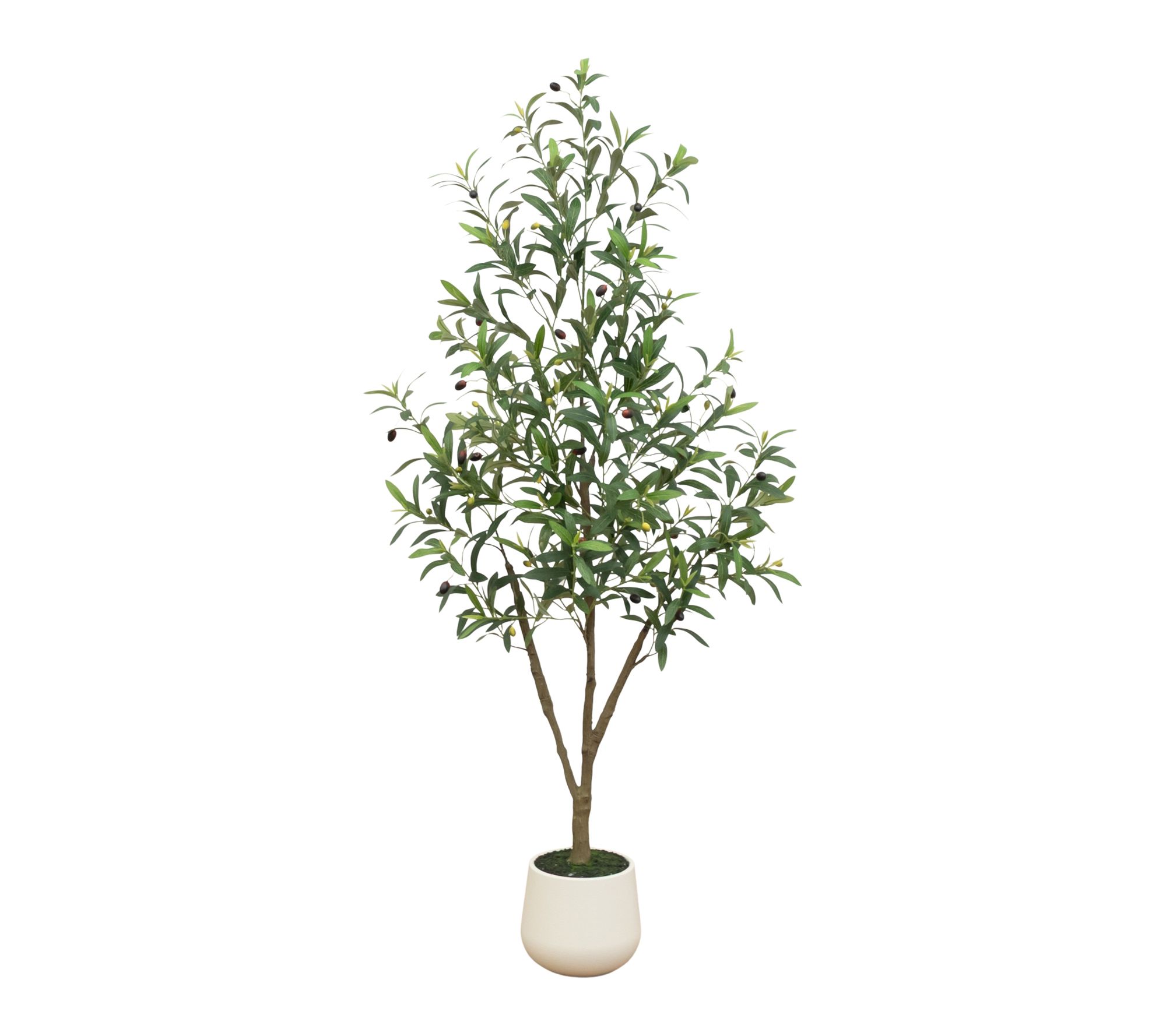 5-ft Olive tree in Decorative Planter by Nearly Natural