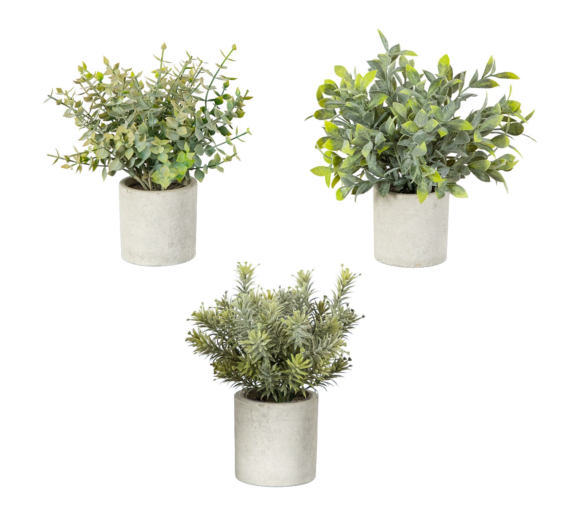 10-in Mini Greenery Potted Plants - Pack 3 by Nearly Natural