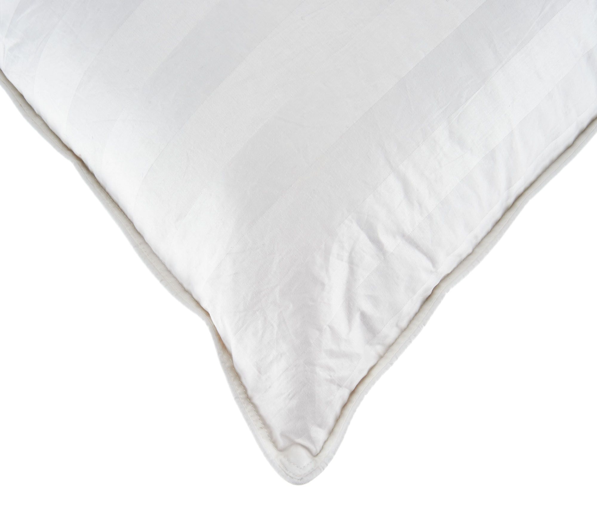 Northern Nights Set of 2 Down Surround Pillows