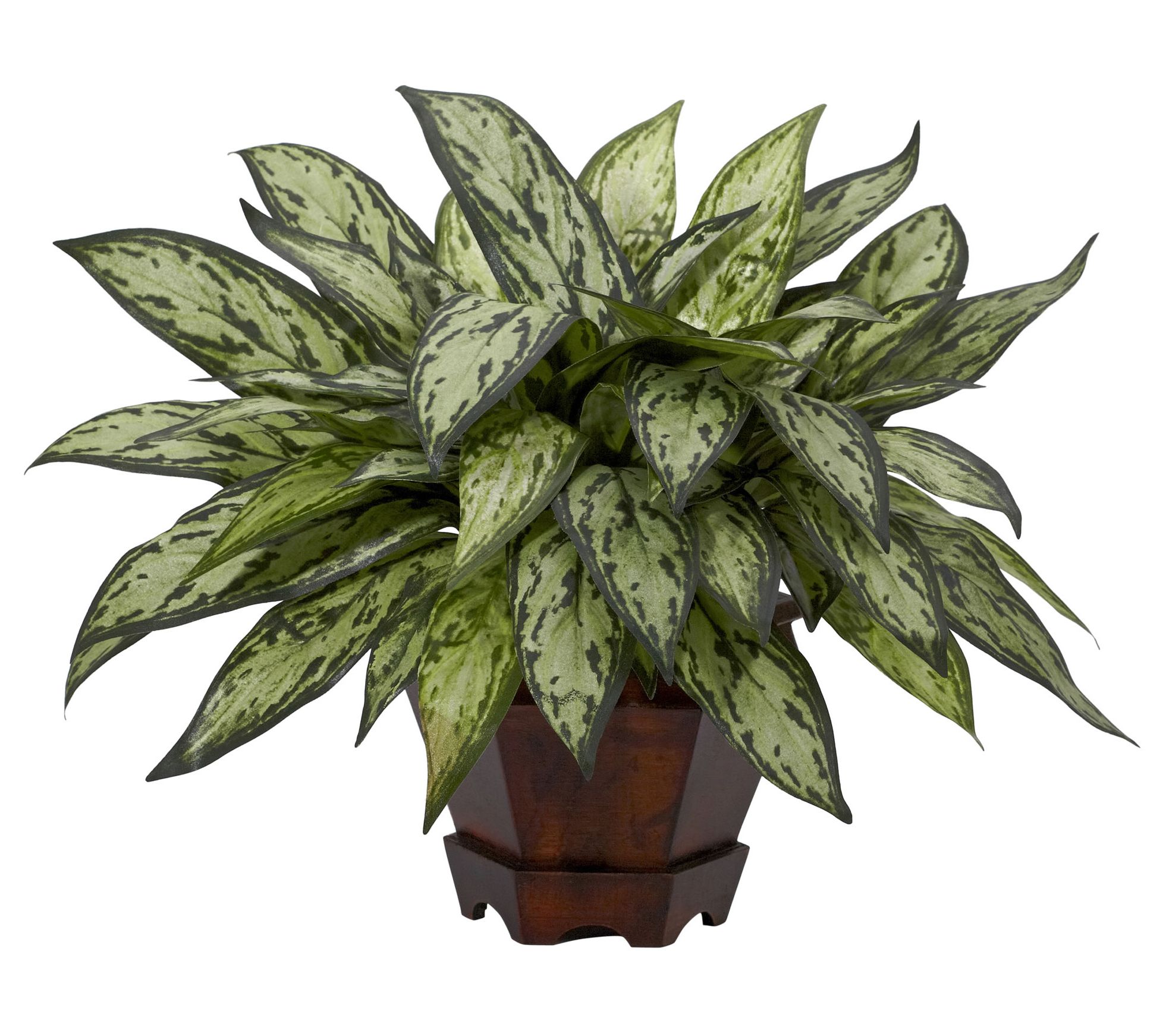 Triple Silver Queen w/Hexagon Vase Silk Plant