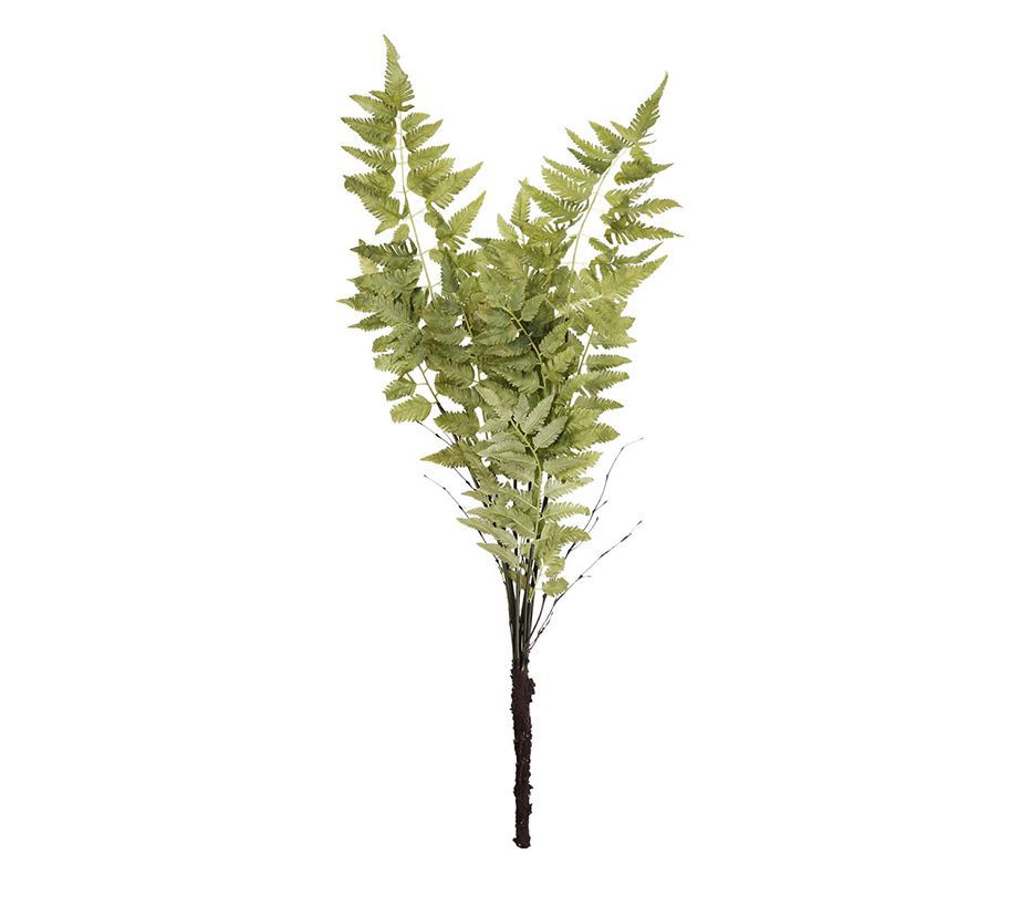 R. Nest 36" Faux Fern Stem