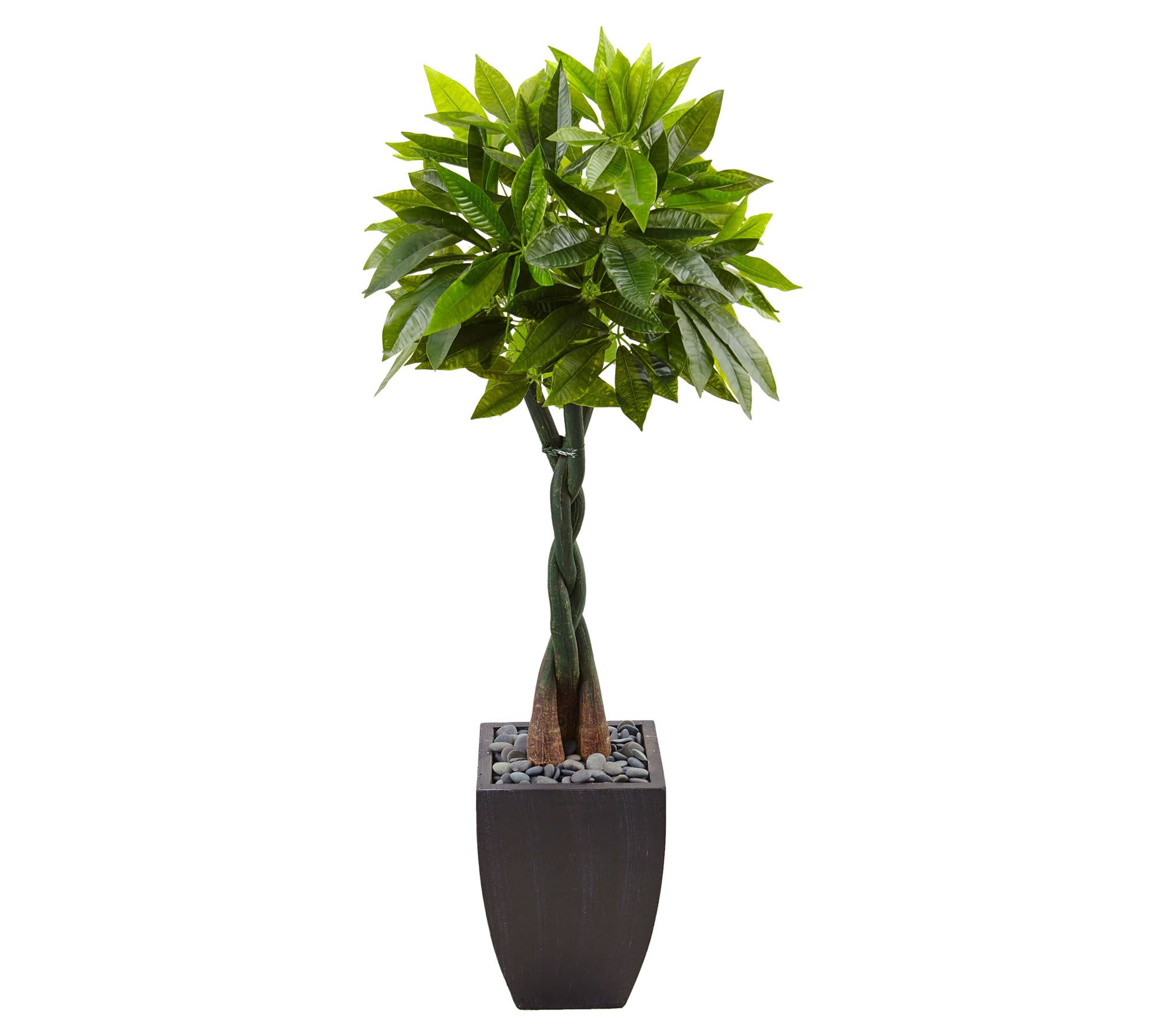 Nearly Natural 59 Variegated Ficus Artificial Tree in Decorative Planter