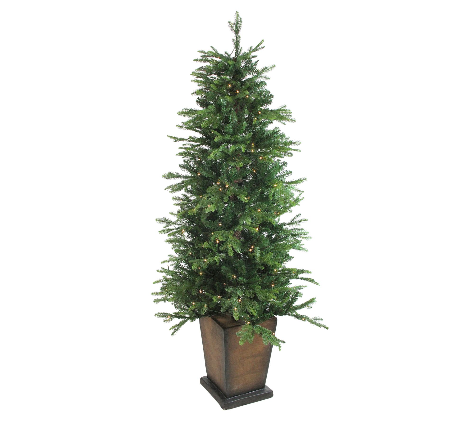 Northlight Pre-Lit Potted Oregon Noble Fir Christmas Tree