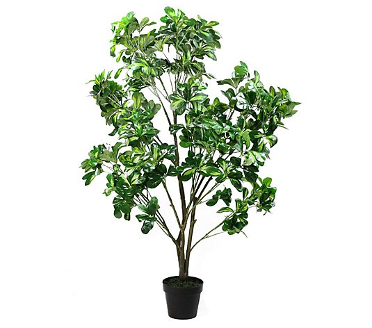 Northlight Potted Artificial Two Tone SchefferaPlant Tree