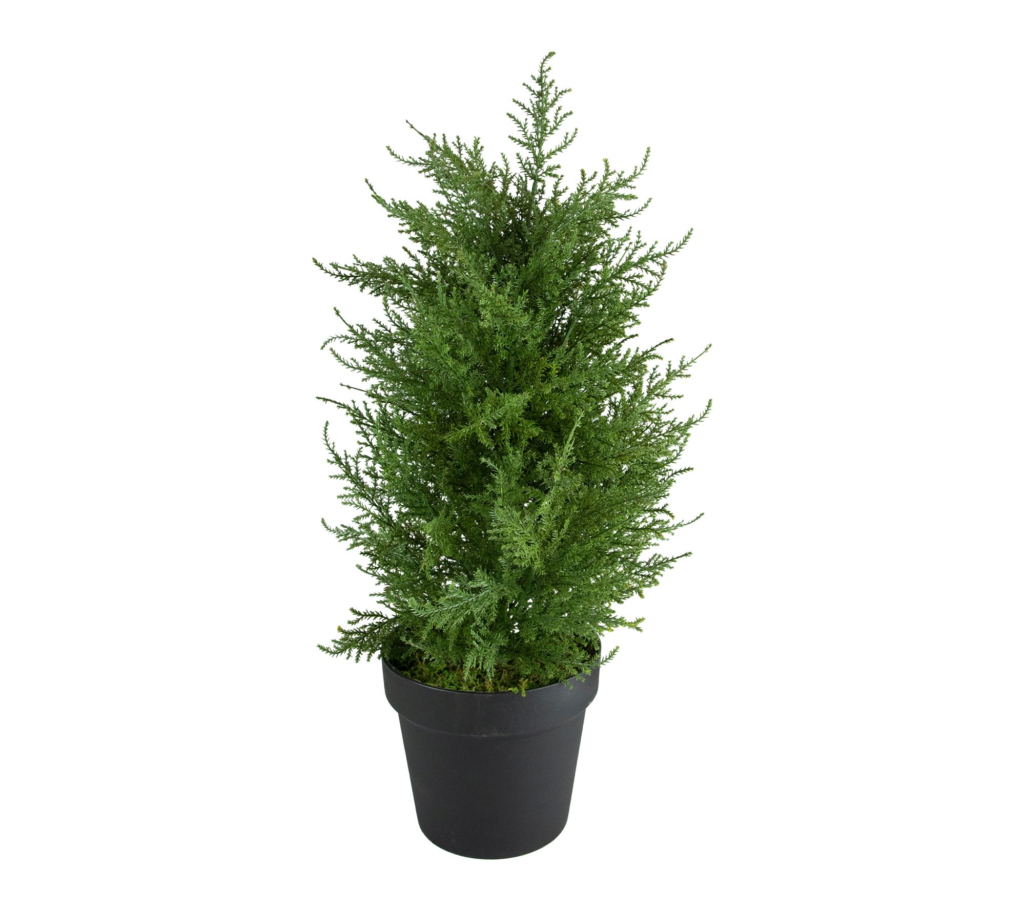 Northlight Real Touch Cedar Pine Petite Arborvitae Pot 2'