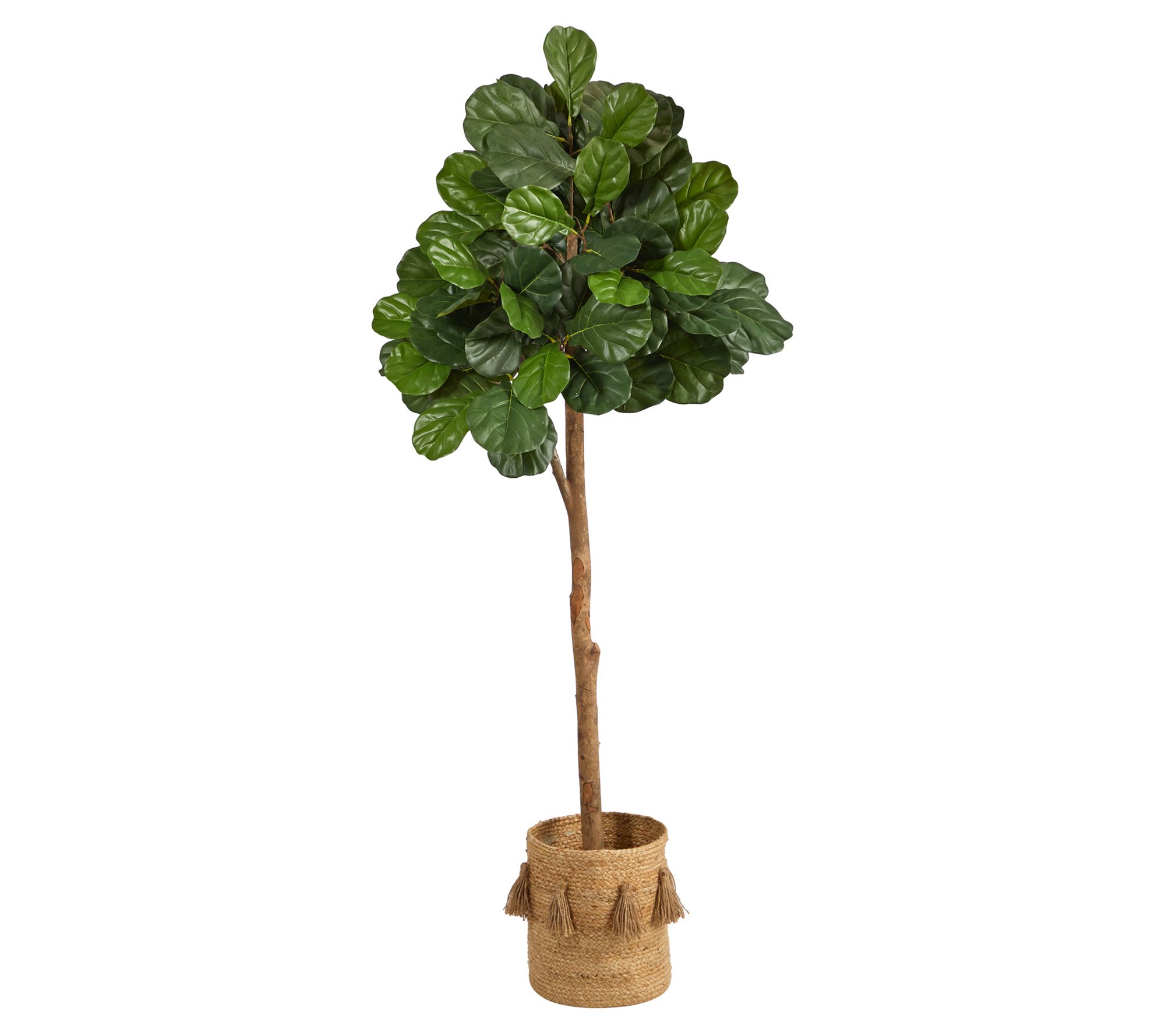 6' Fiddle Leaf Fig in Natural Planter by NearlyNatural