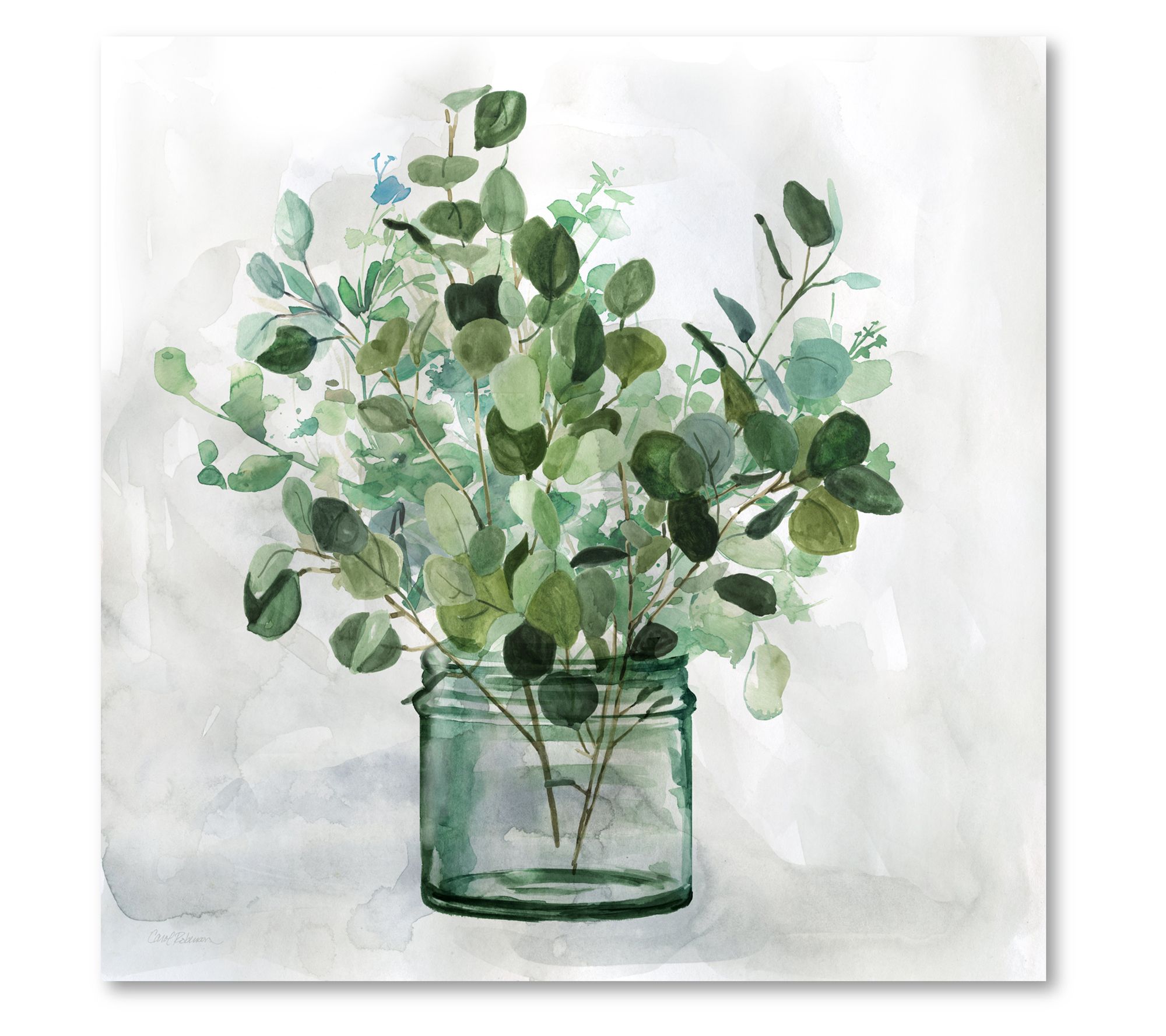 Courtside Market Green Garden II 16x16 Canvas Wall Art