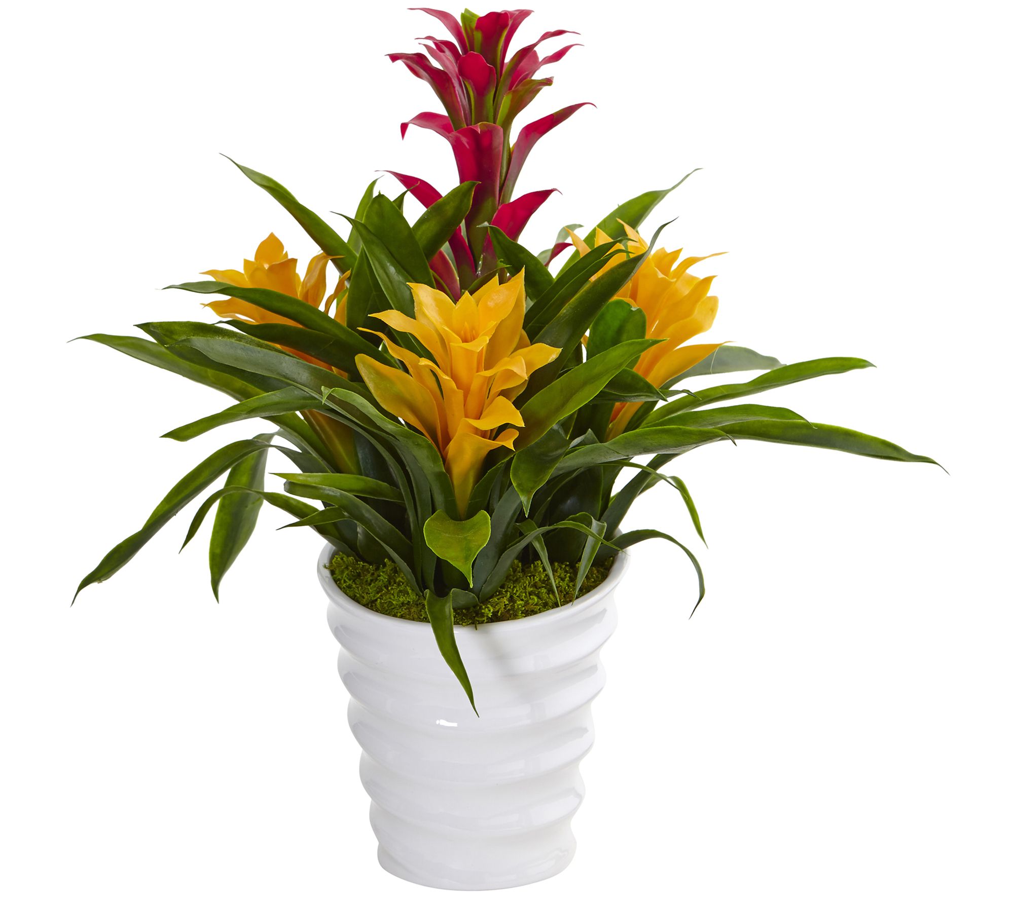 Bromeliad in White Swirl Vase by Nearly Natural - QVC.com