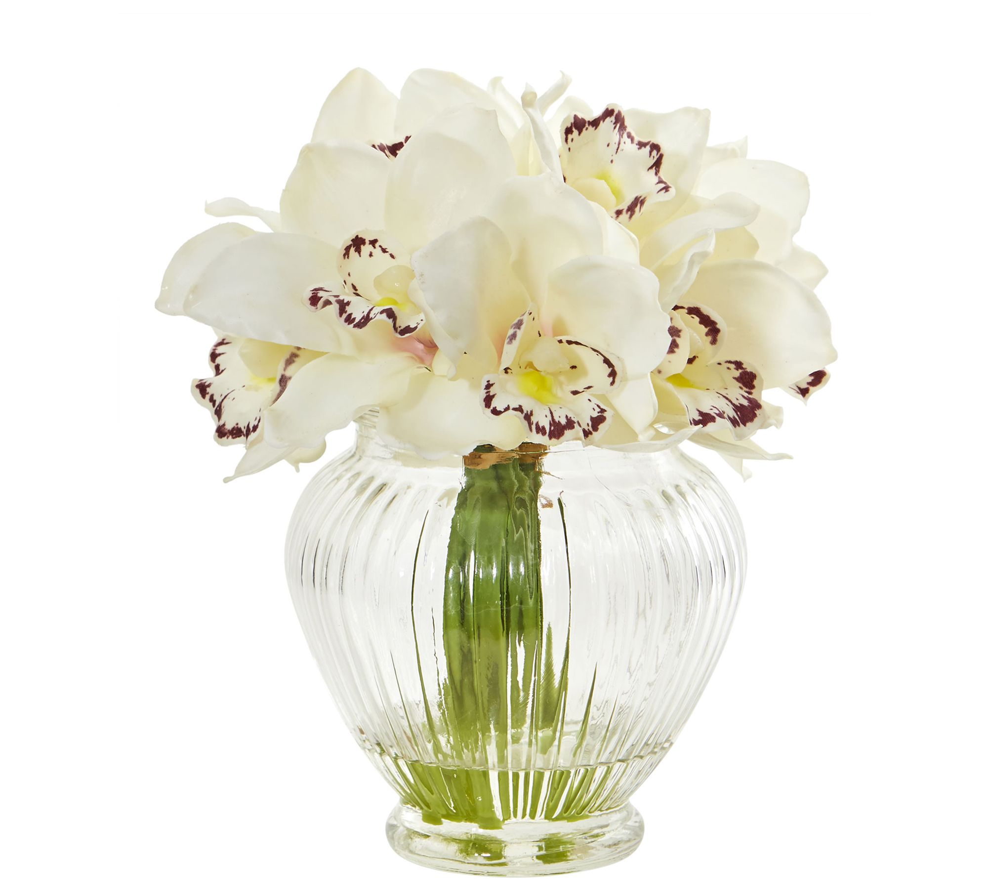 Cymbidium Orchid Arrangement In Vase By Nearlynatural