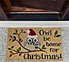 DII Owl Be Home For Christmas Natural Coir Doormat, 2 of 2