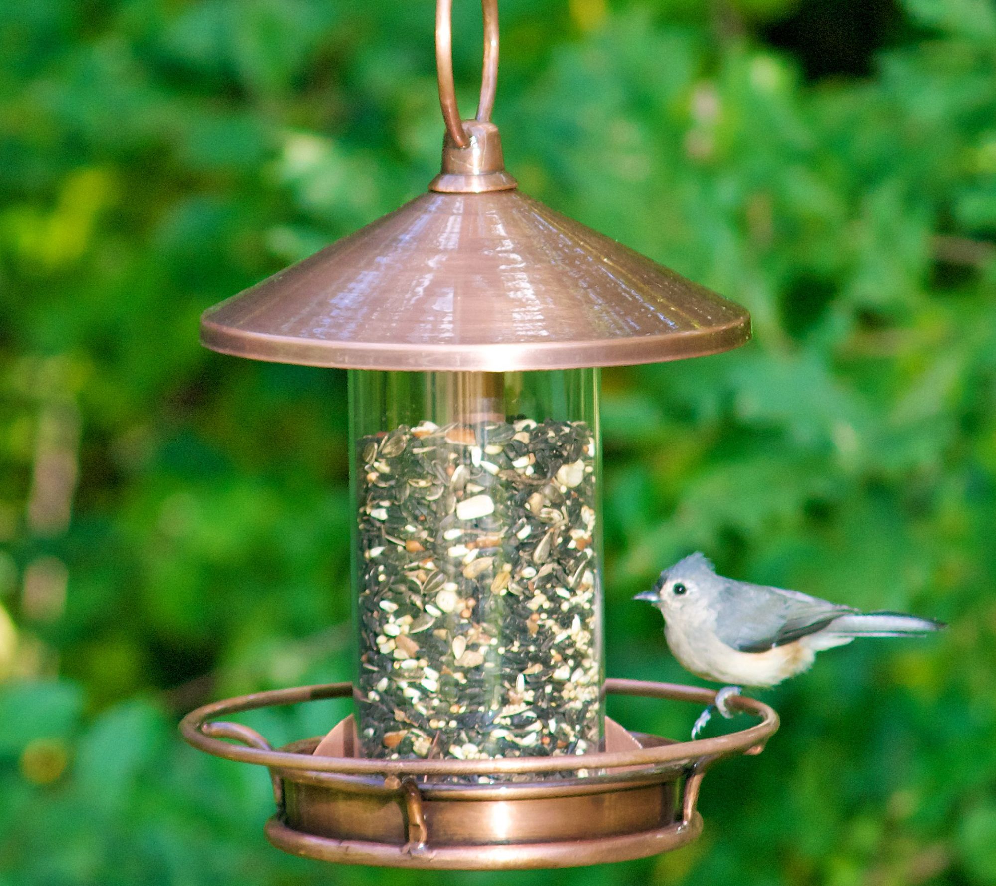 Classic Perch Bird Feeder Copper Finish by Good Directions