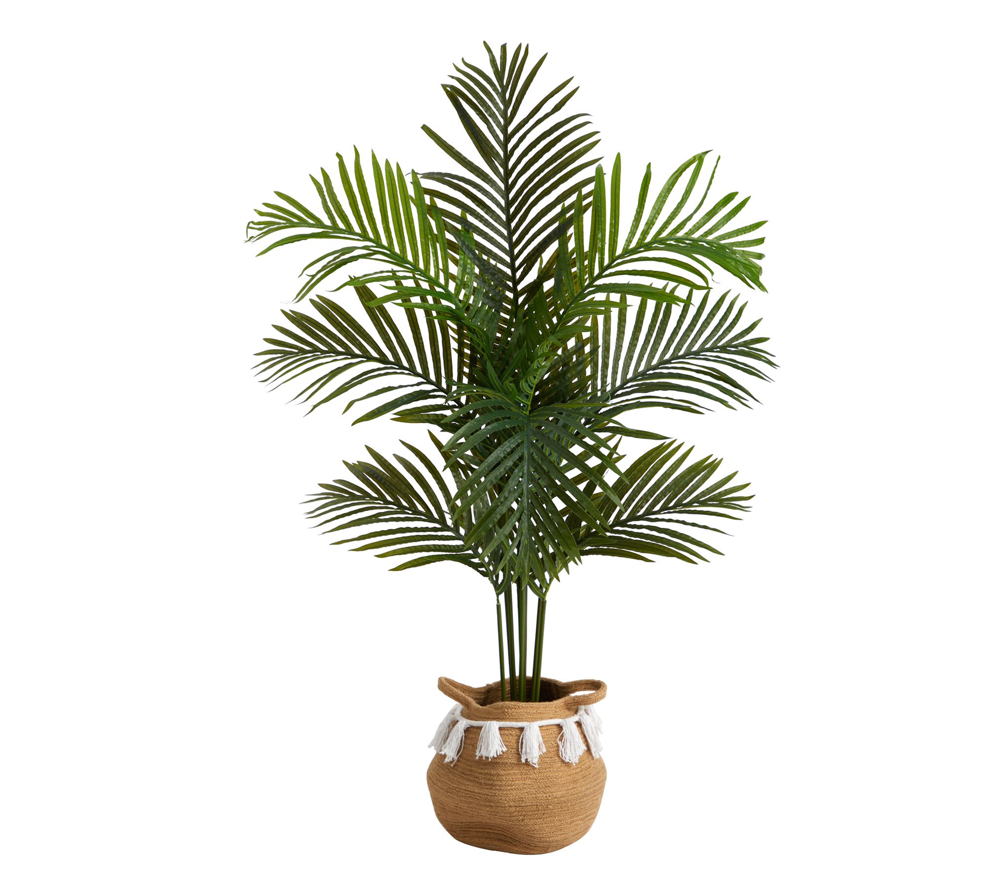 6' Artificial Paradise Palm with White Decorative Planterplanter