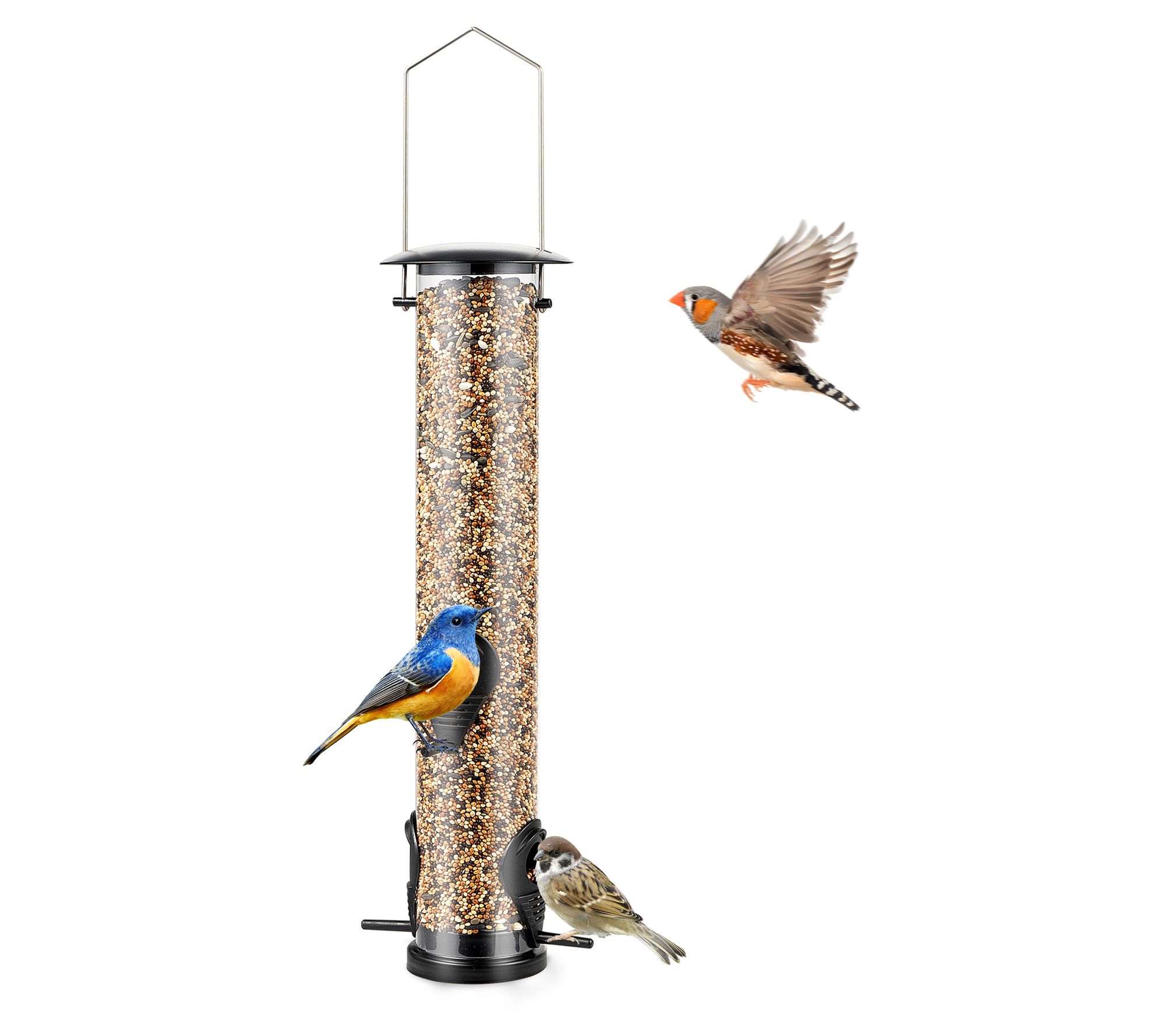 Backyard Expressions Tube Hanging Bird Feeder -4 Port