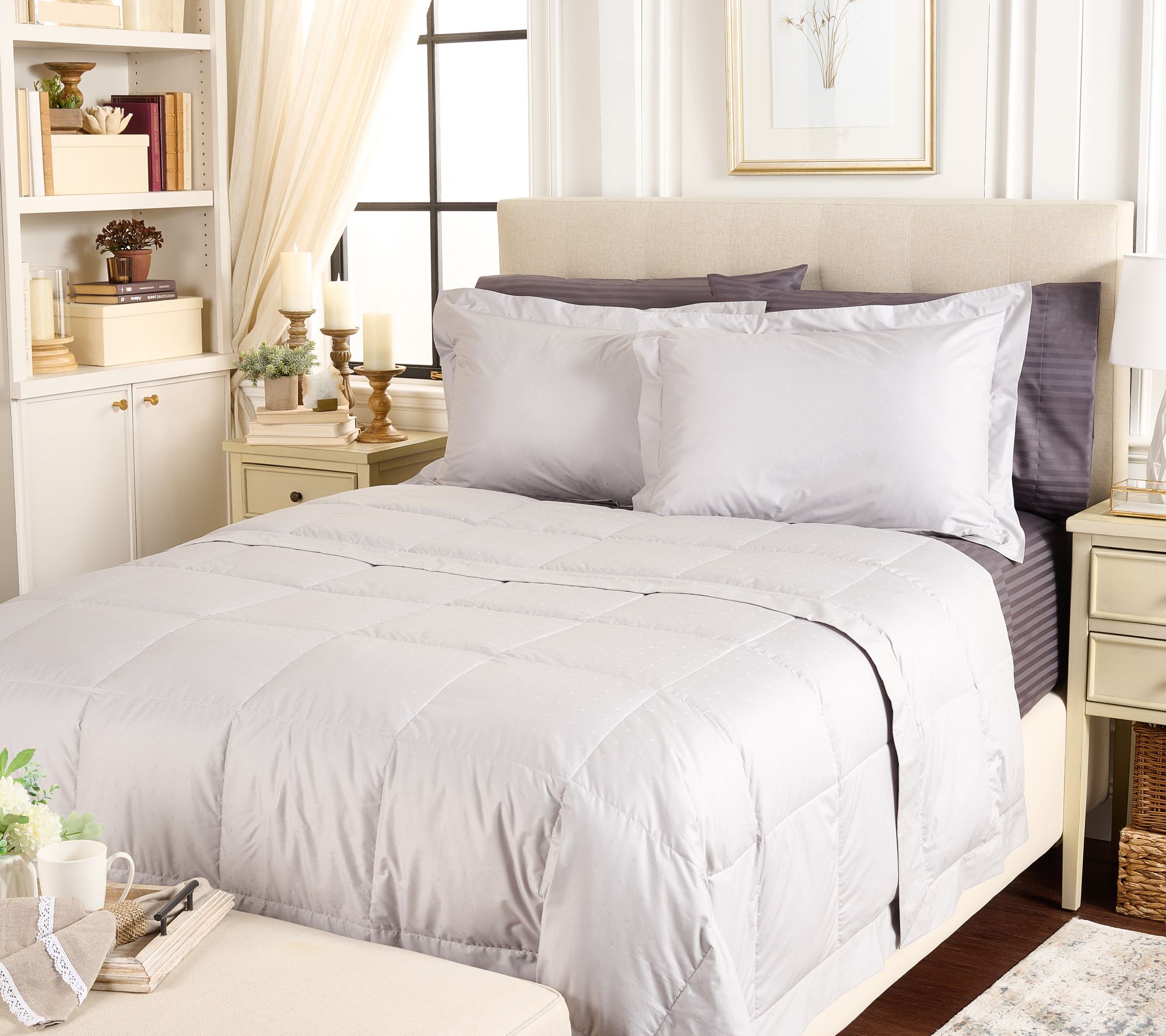 Northern Nights Shadow Dot Cotton 650FP Down Blanket Set - Queen