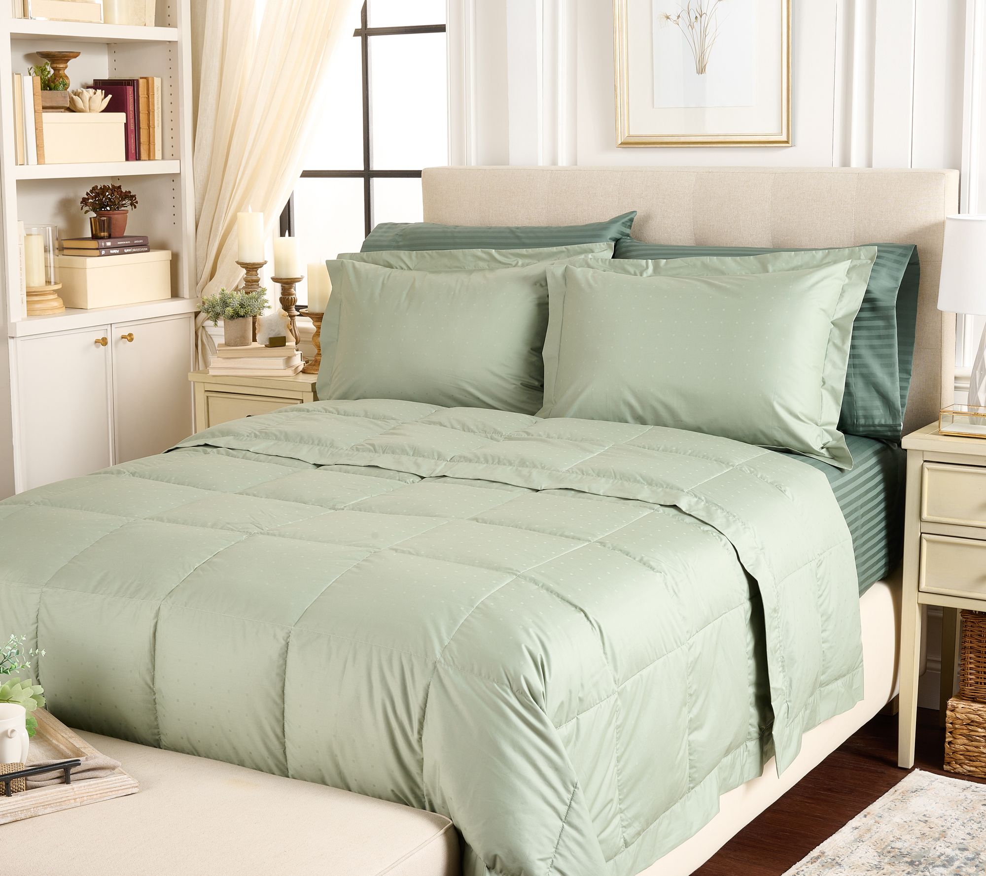 Northern Nights Shadow Dot Cotton 650FP Down Blanket Set - Queen