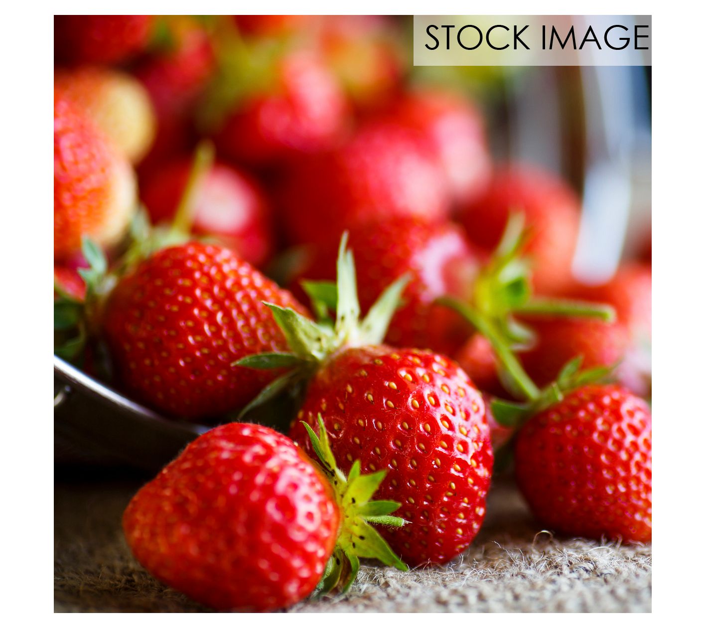 Van Zyverden Junebearing Strawberries Eclair Set of 20 Roots