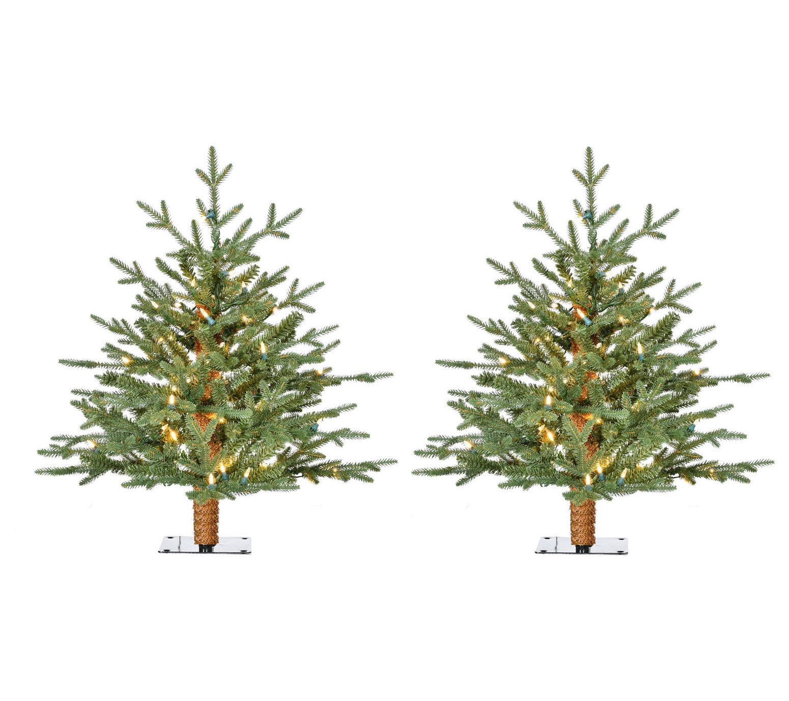 Fraser Hill Farm 2 Ft. Green Alpine Porch Accen t Tree Set of 2