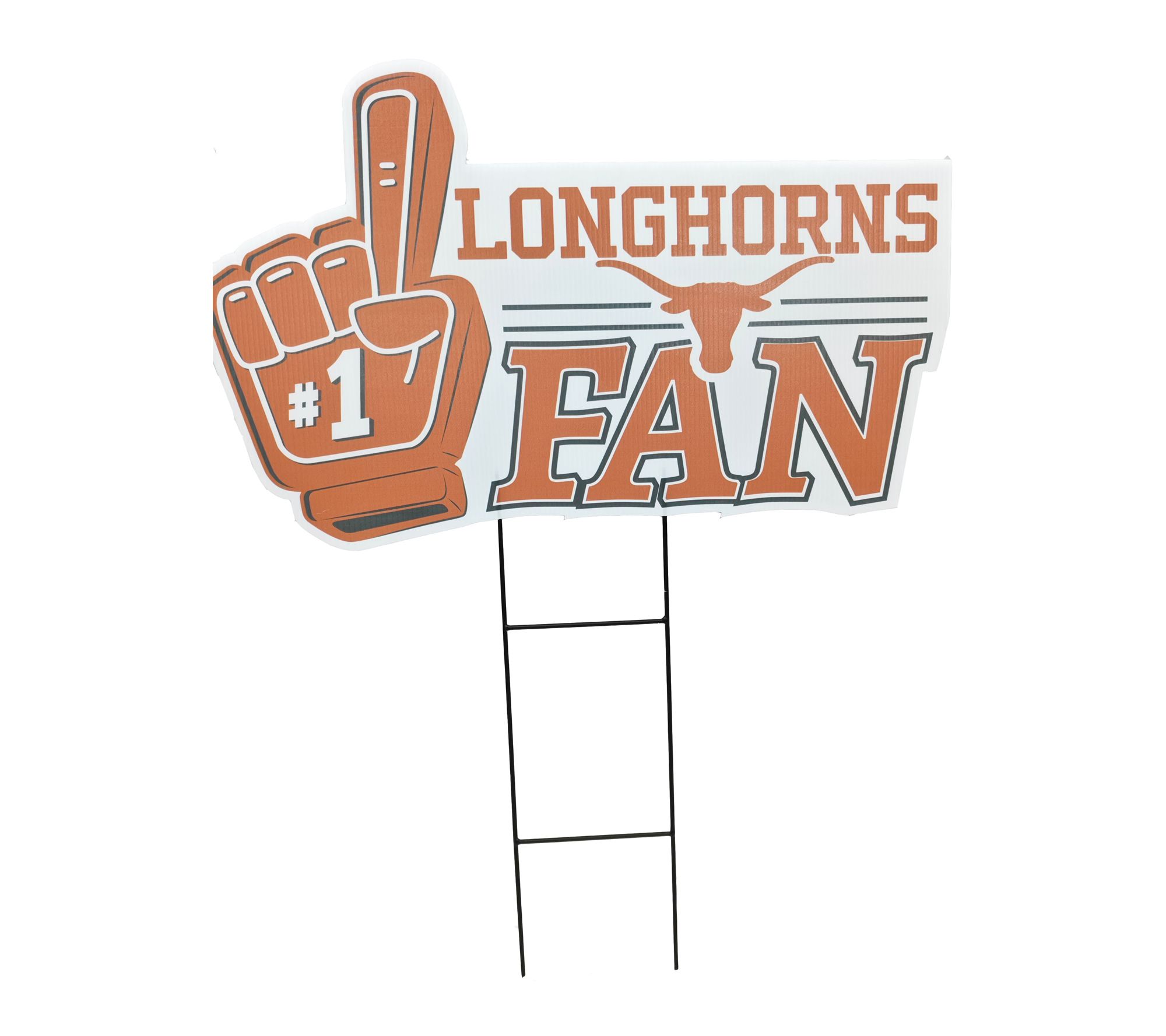 Texas Longhorns