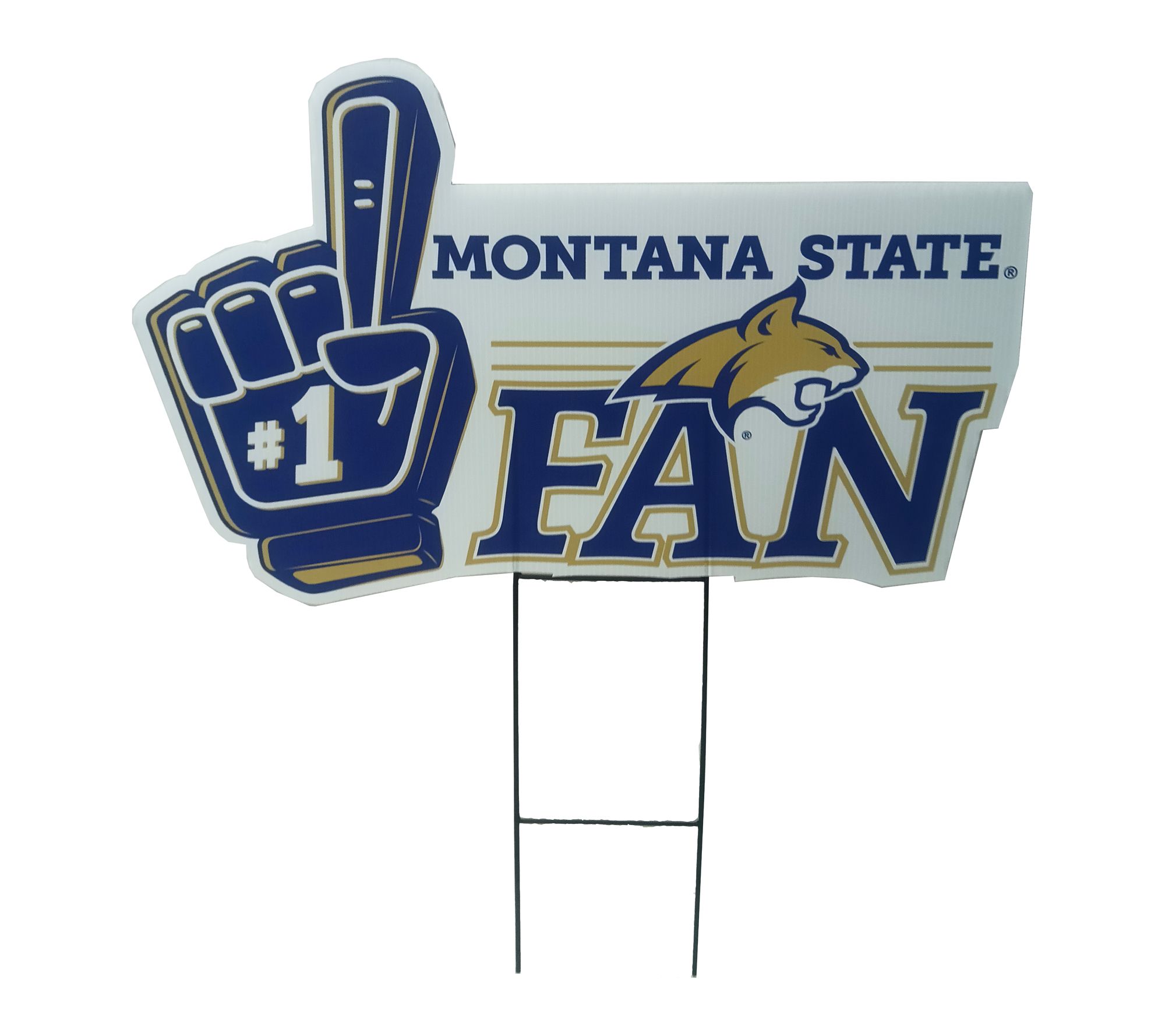 Montana State