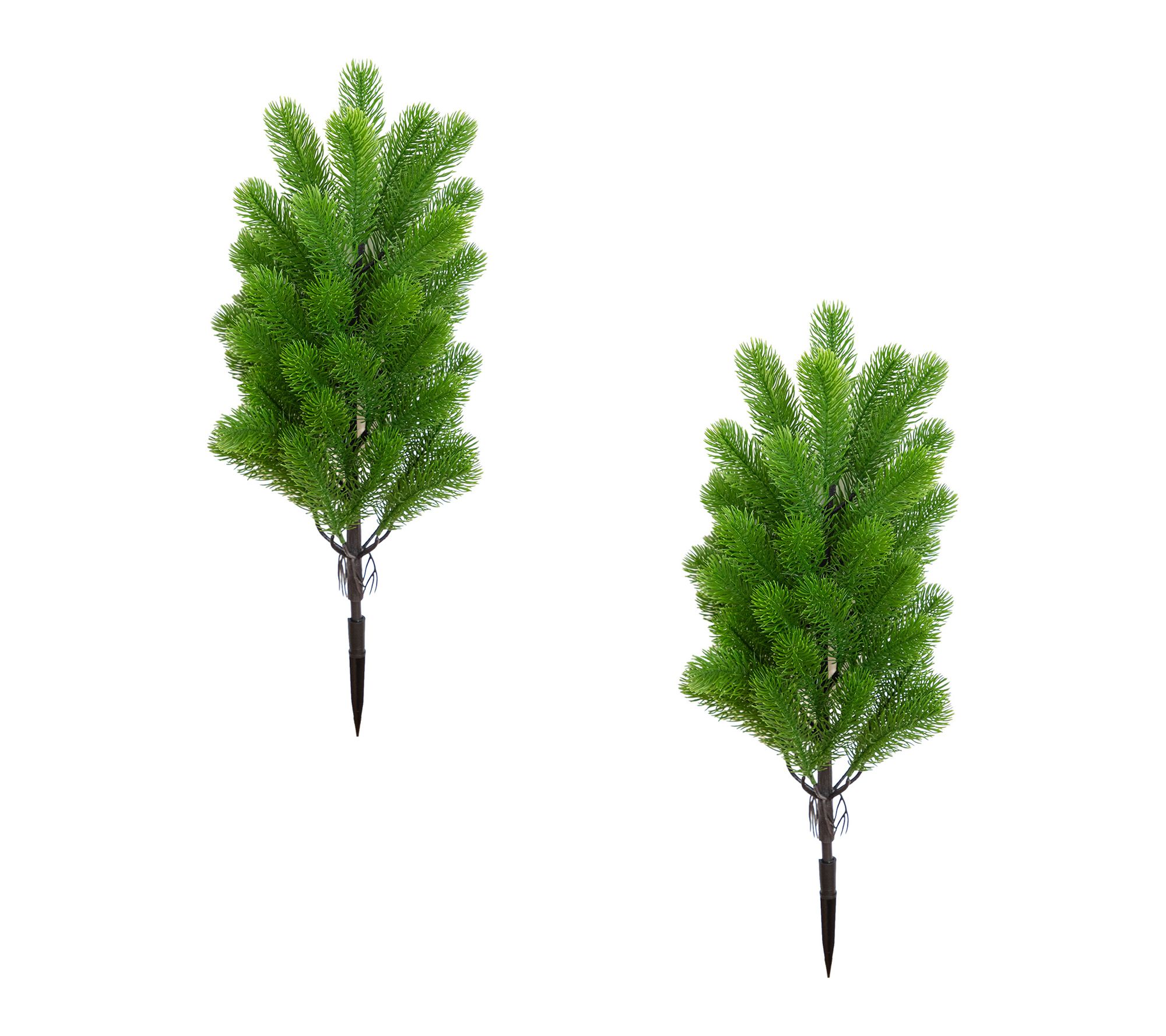 19-in   Pine with Stake  - Set of 2 by Nearly Natural