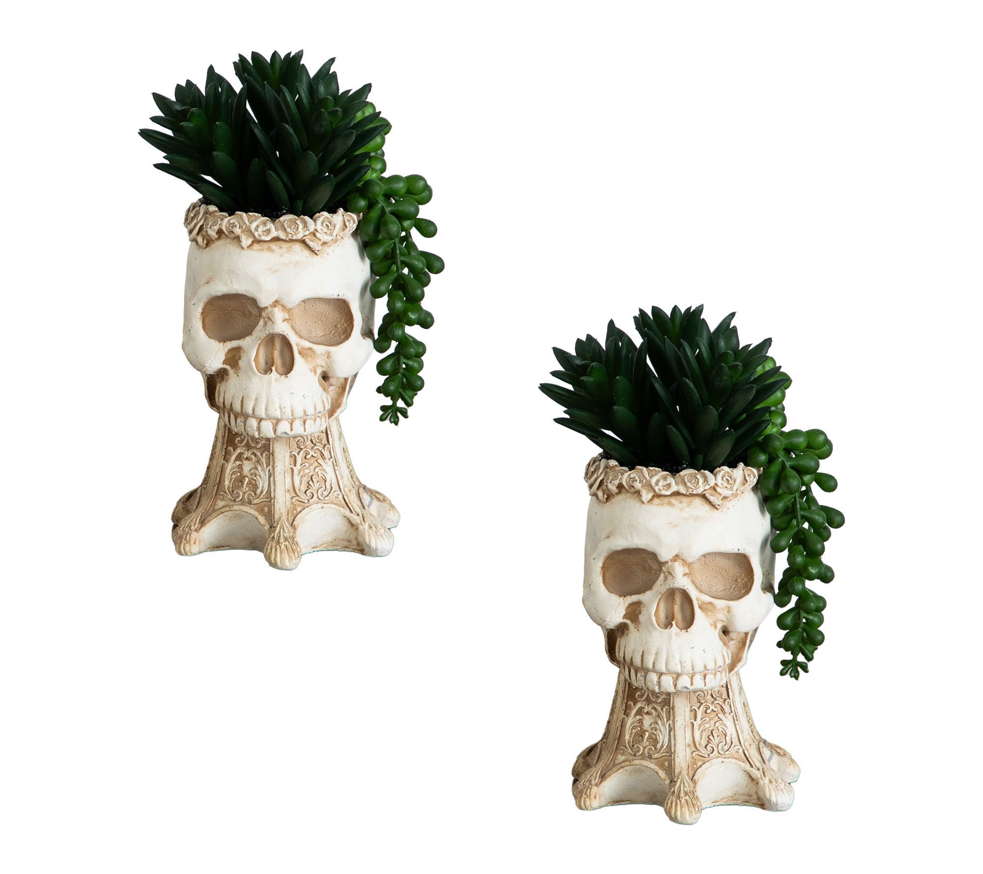 7-in Garden in Skull Planter - Set of 2 by Nearly Natural