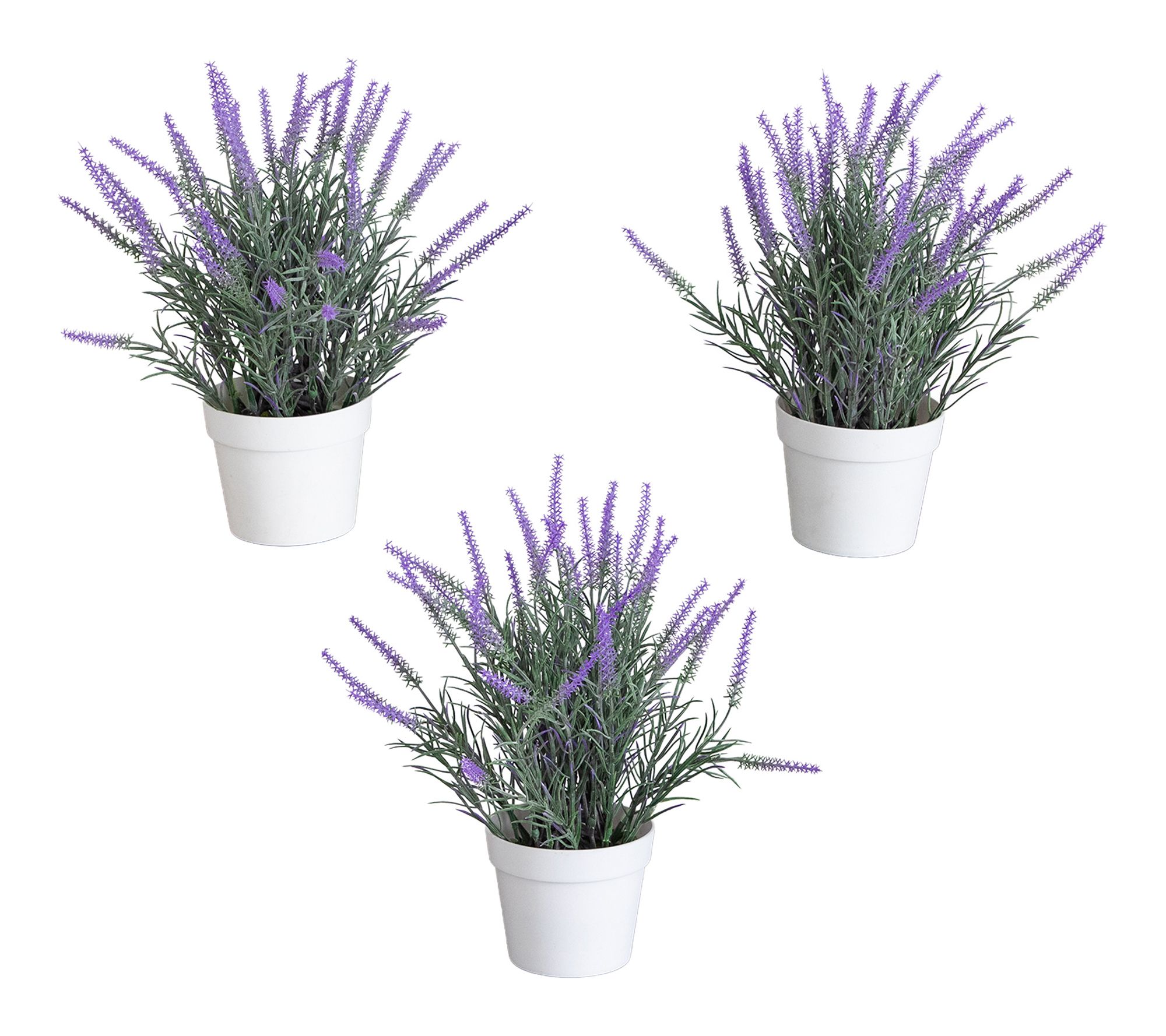 Artificial Lavender  in White Pot  - Set of 3 by Nearly Natural