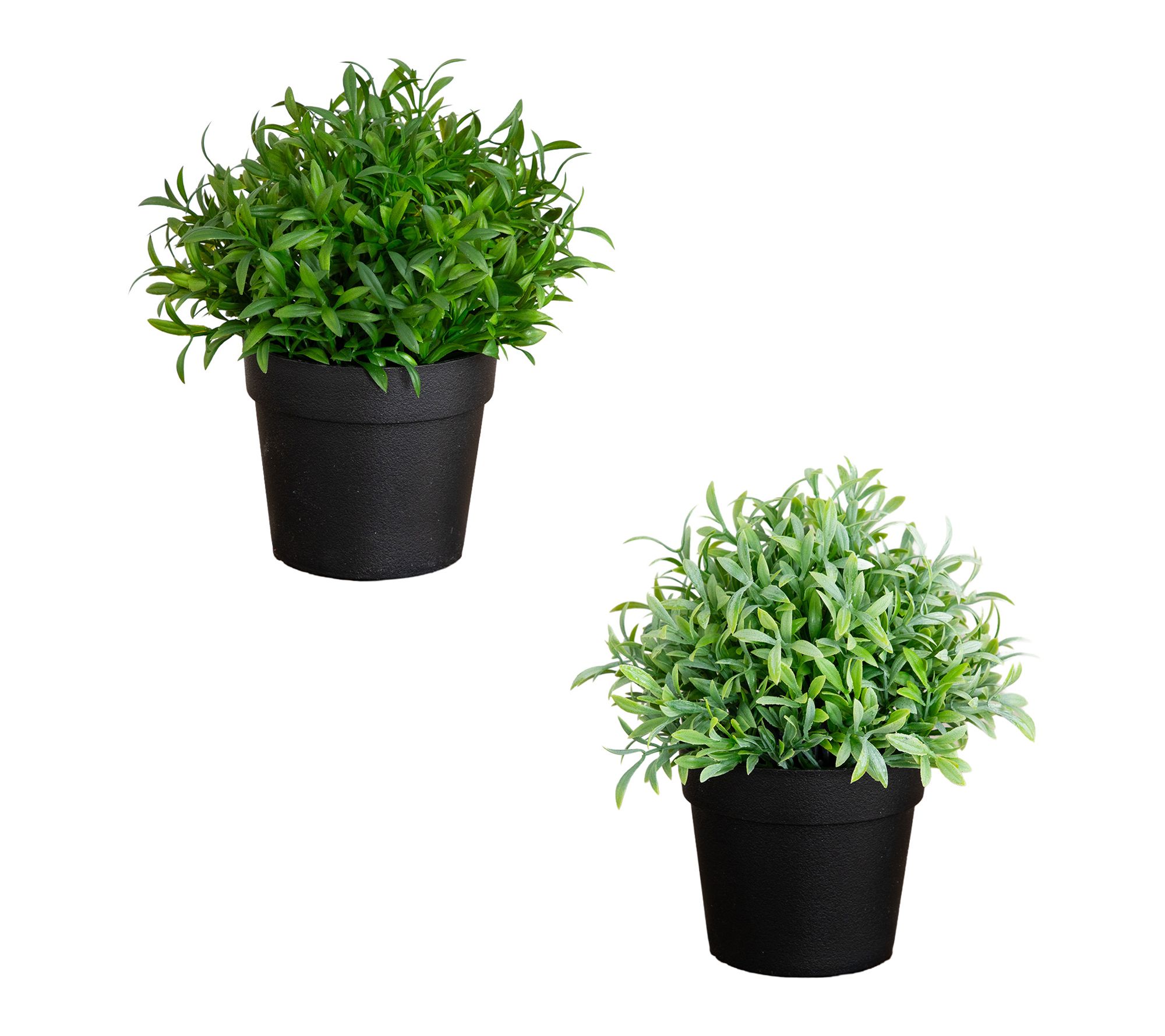 5-in Plants in Black Pot - Set of 2 by Nearly Natural