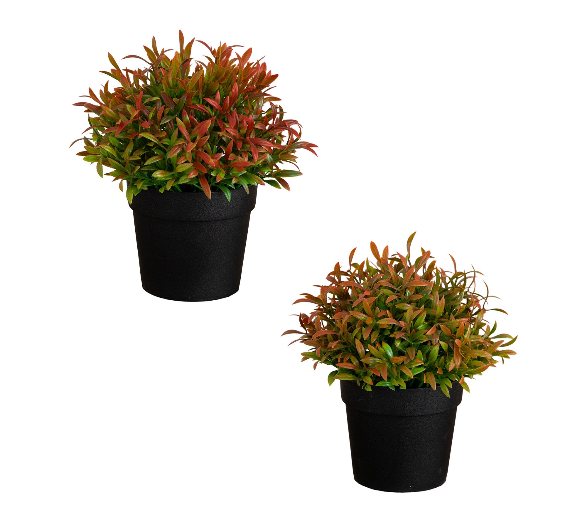 5-in Plants in Black Pot - Set of 2 by Nearly Natural
