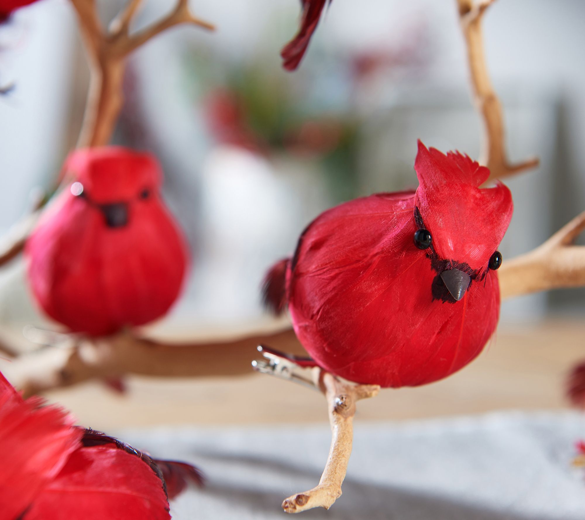 cardinal bird slippers