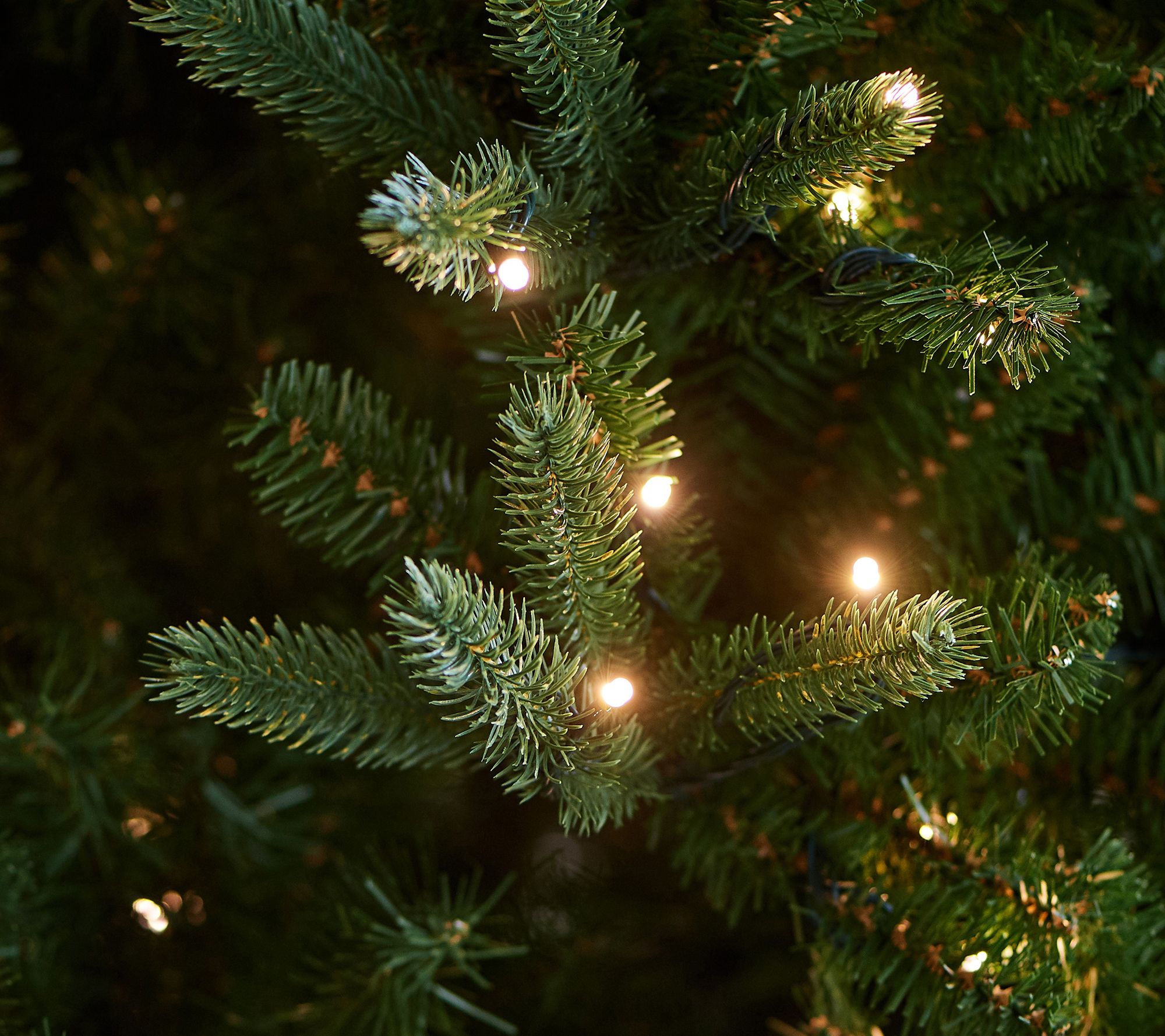 Twinkly 6.5' Fraser Fir WRGB Christmas Tree