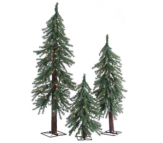 Pre-Lit Alpine Trees with Clear Lights (Set of 3)