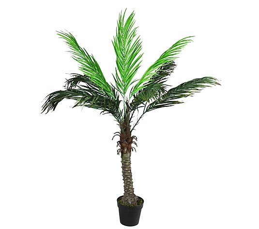Northlight Potted Brown and Green Phoenix PalmTree