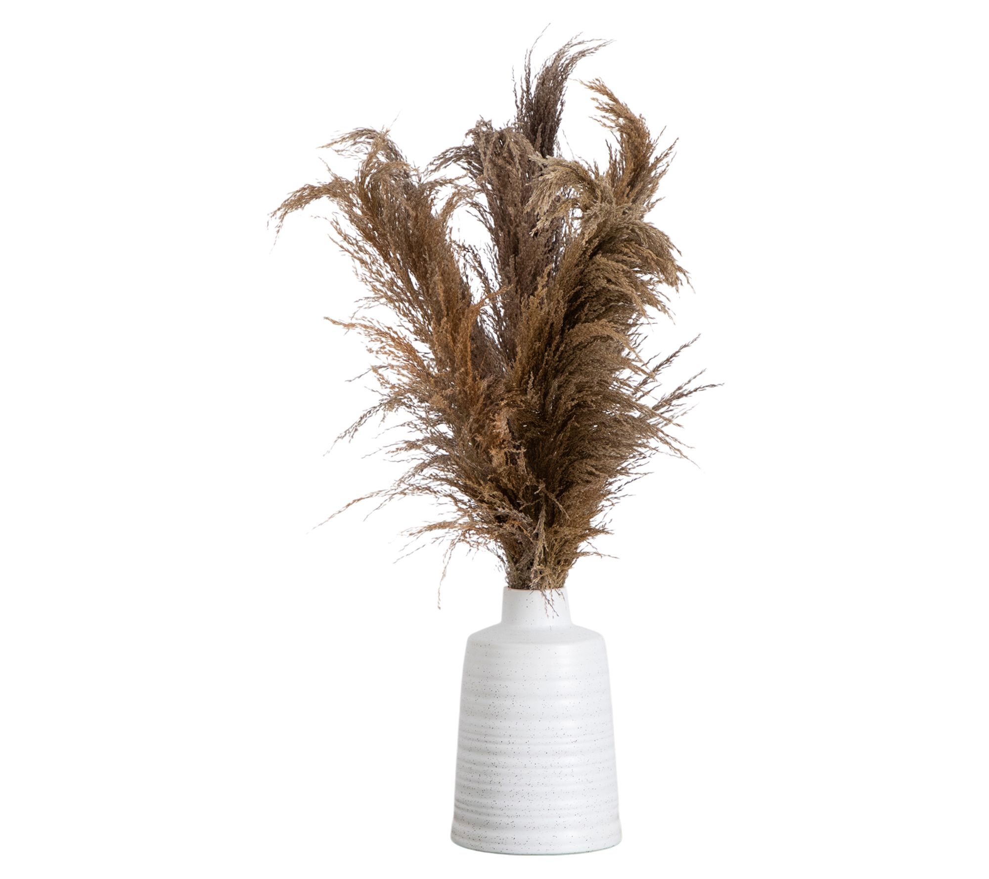 Nearly Natural 30" Dried Natural Pampas in Ceramic Vase