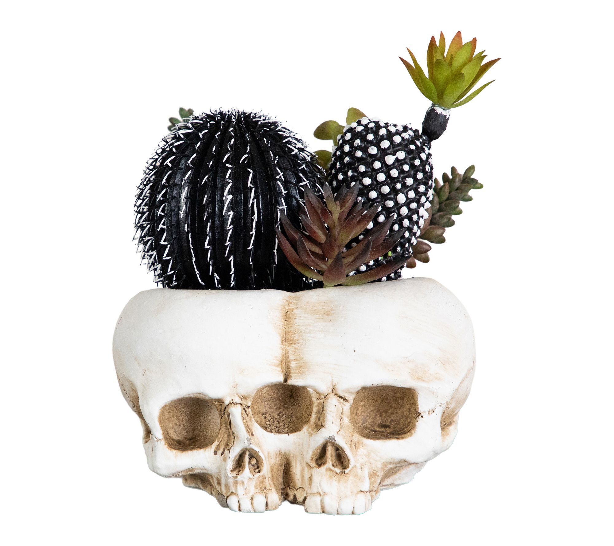 8-in Garden in Double Skull Planter by Nearly Natural