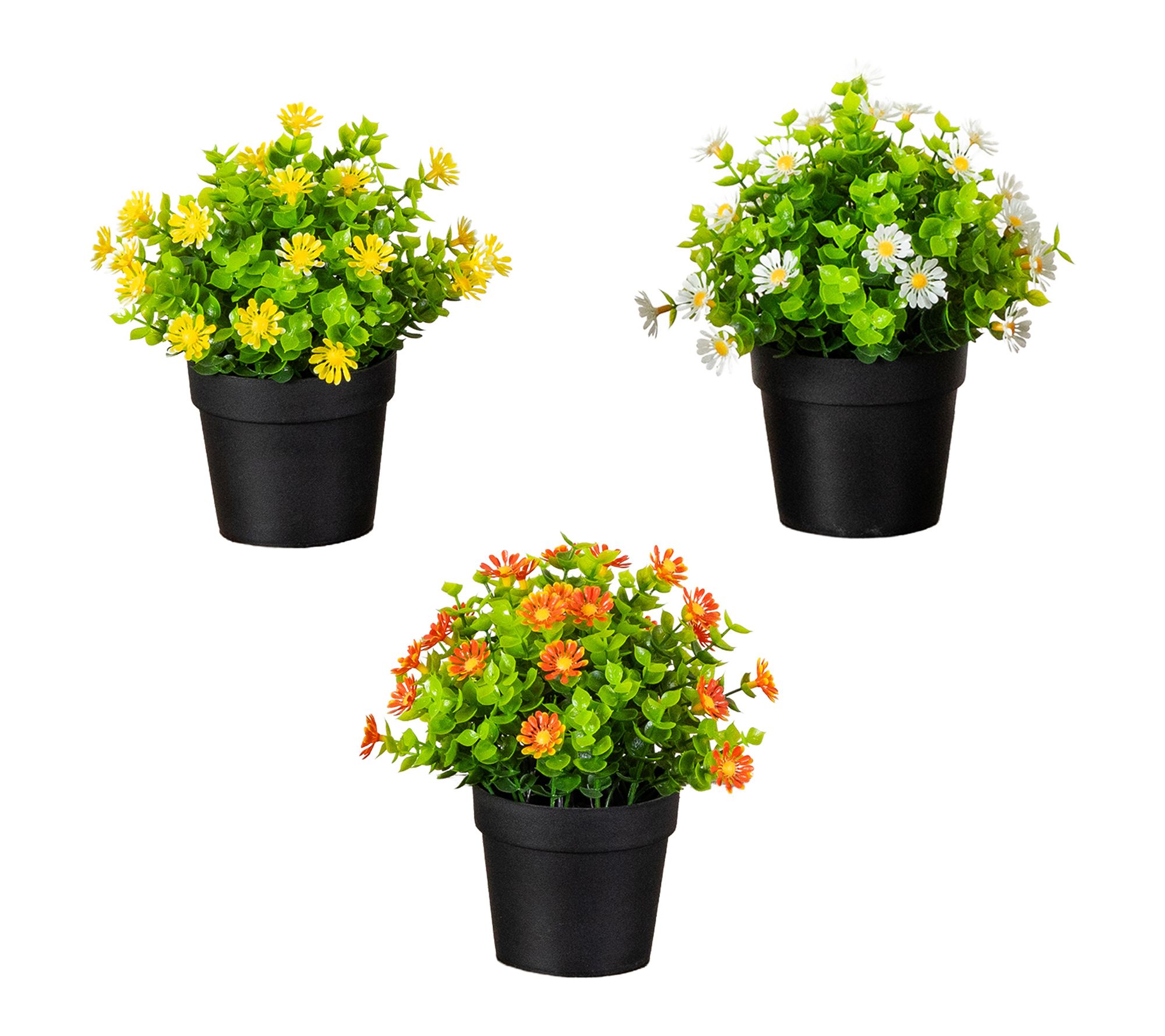 Artificial Flowering Daisy in Pot - Set of 3 by Nearly Natural