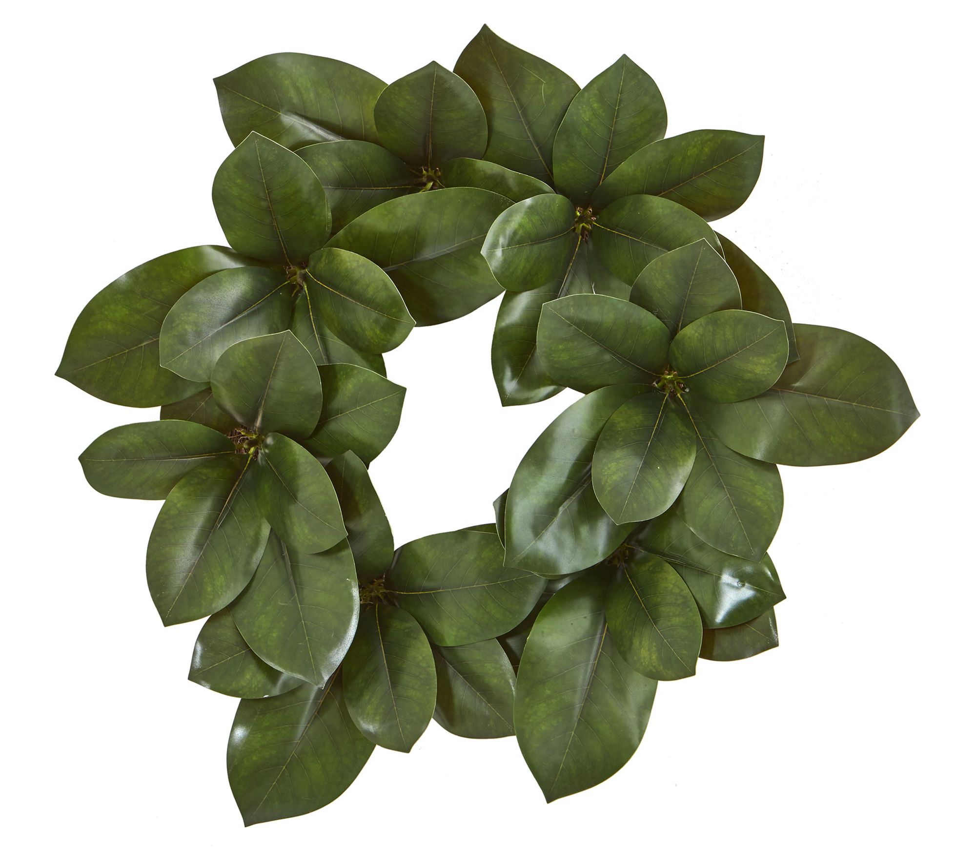 22" Magnolia Leaf Artificial Wreath by Nearly Natural
