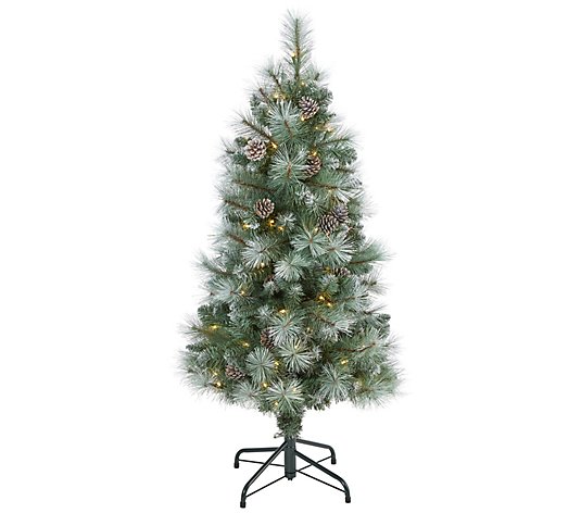 4' Lit Frosted Mountain Pine Christmas Tree byNearly Natural