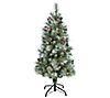 4' Lit Frosted Mountain Pine Christmas Tree byearly Natural